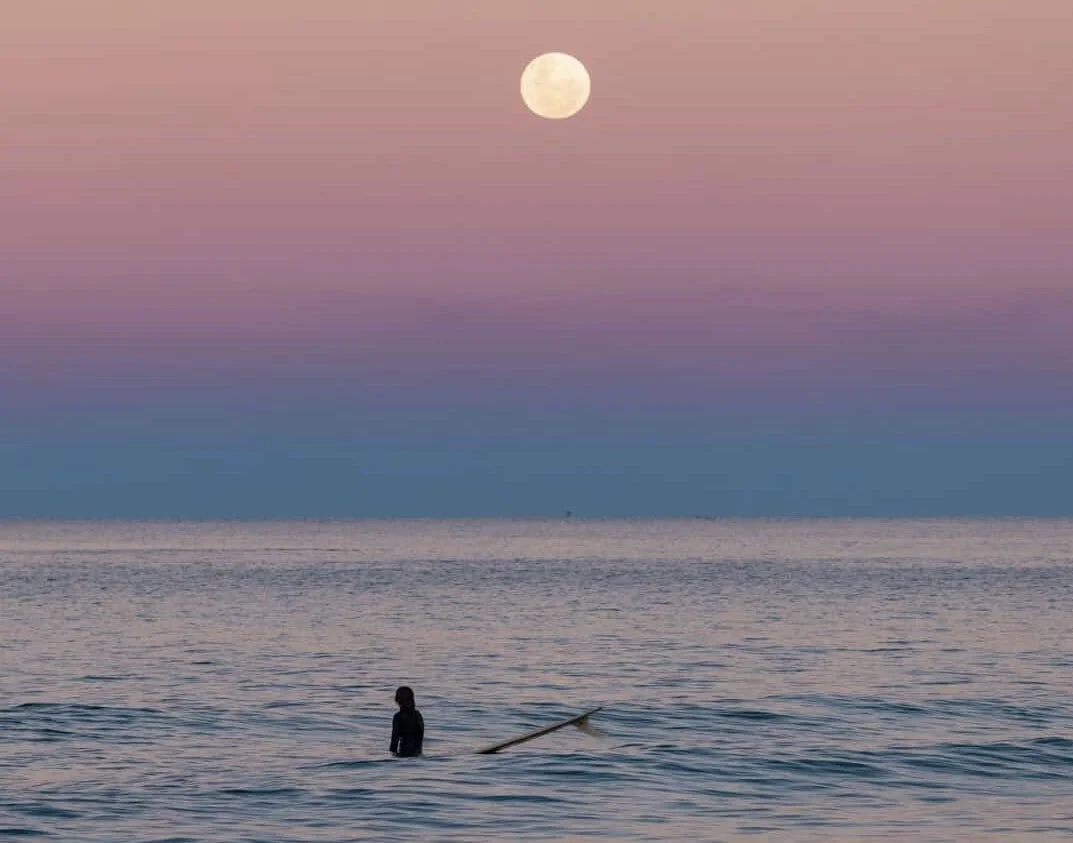                                                                                                 Monks and Surfers Meet  