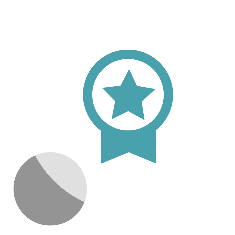 Icon of a medal or badge with a star in the center.