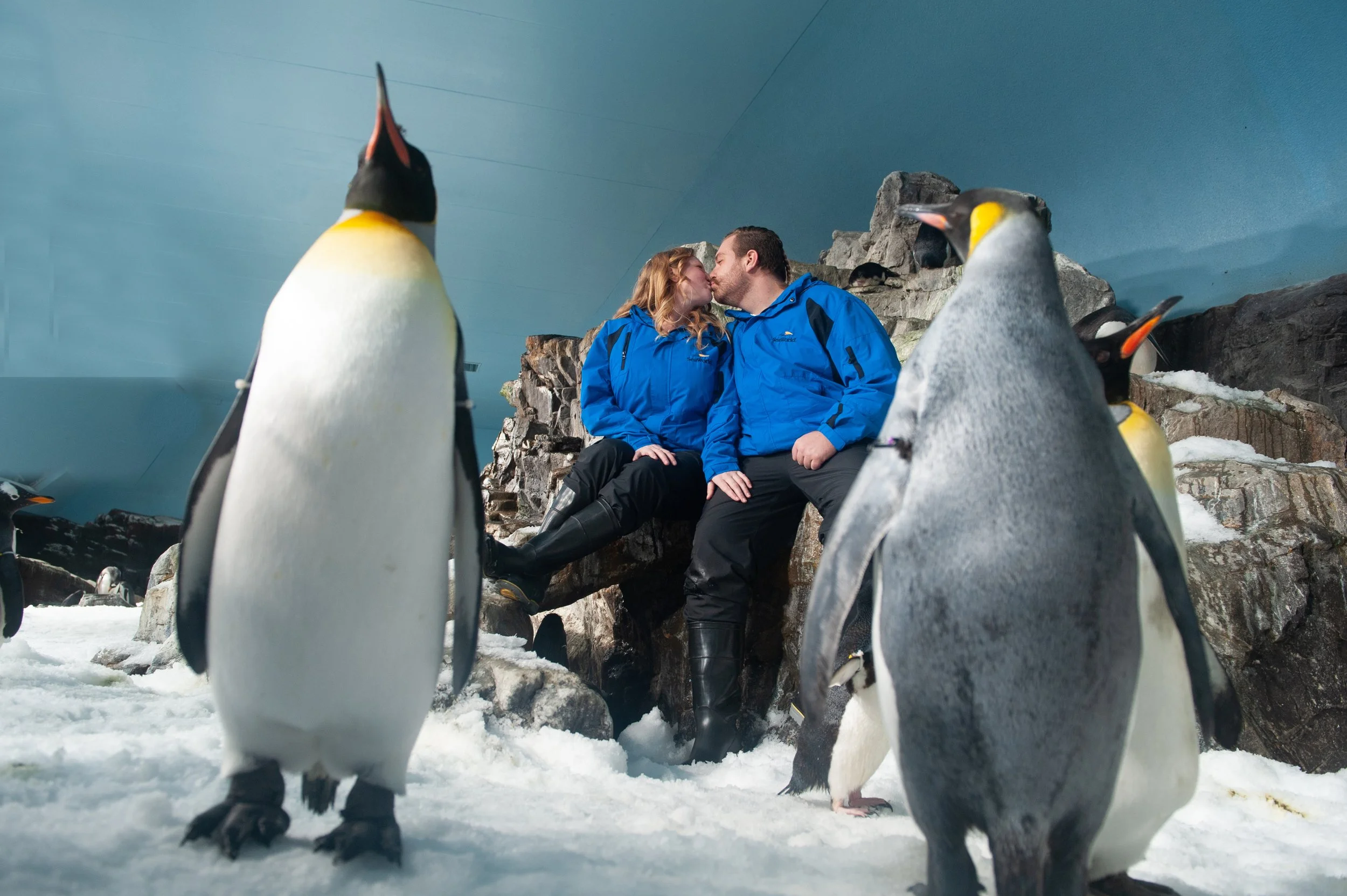 sam and colton engagements0133.jpg