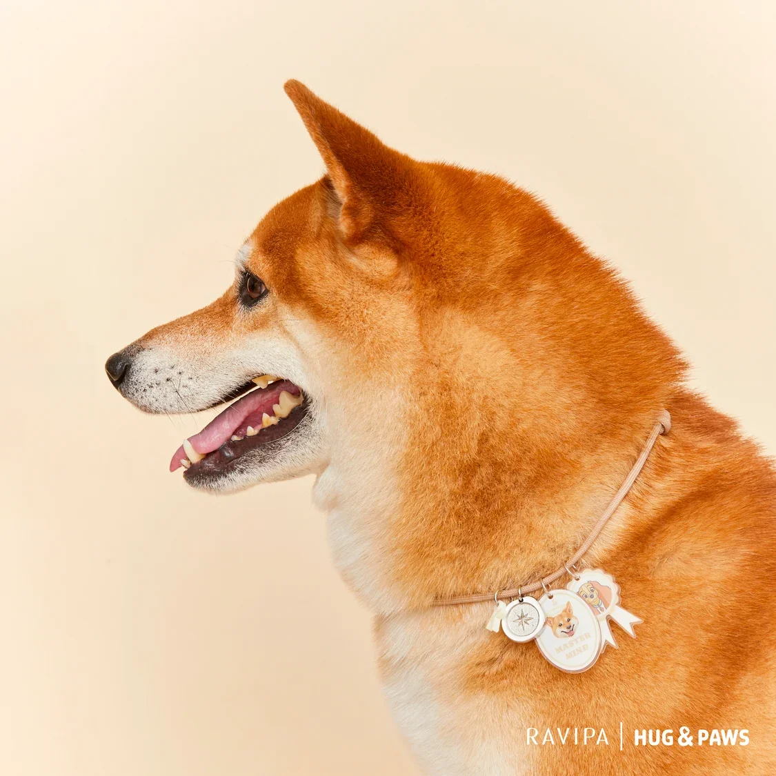 Ravipa_Post-53_1_2048x2048.webp