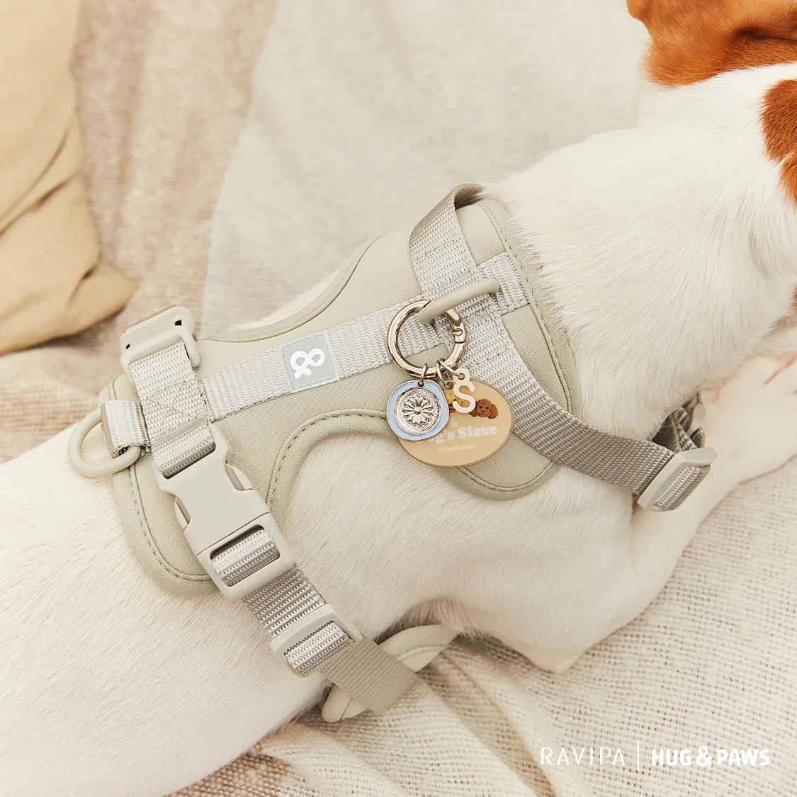 Ravipa_Post-27_1_1_2048x2048.webp
