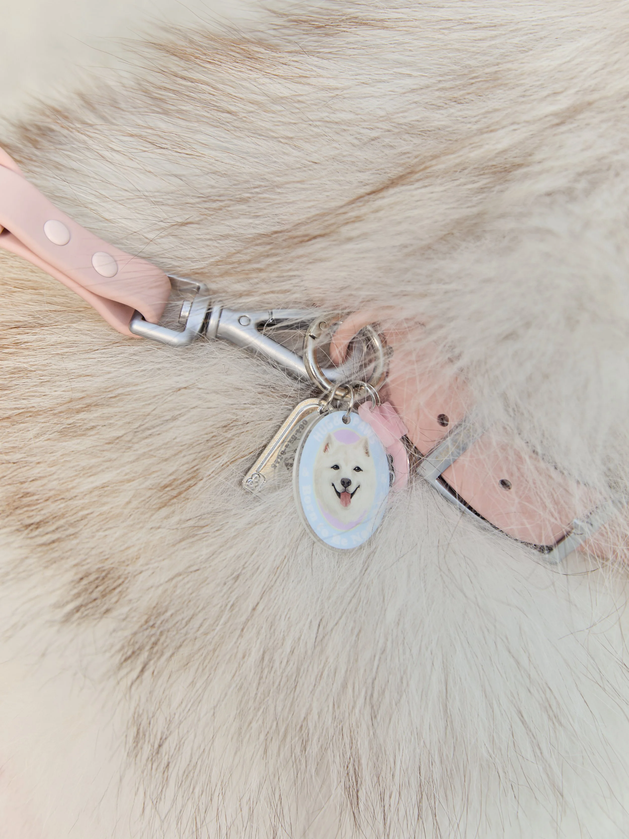 0411Ravipa&HugPaws20322.jpg