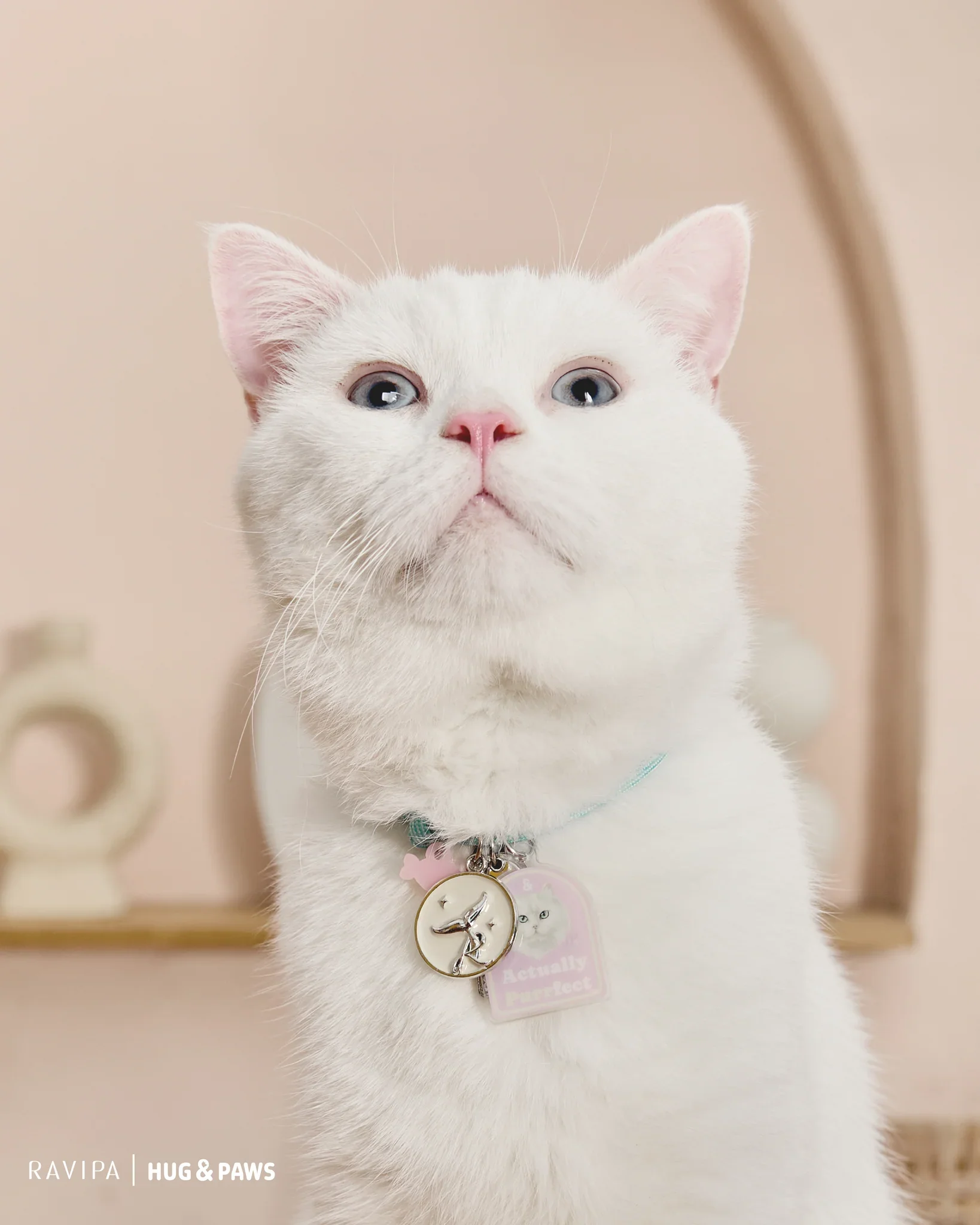 SQ-24_2048x2048.webp