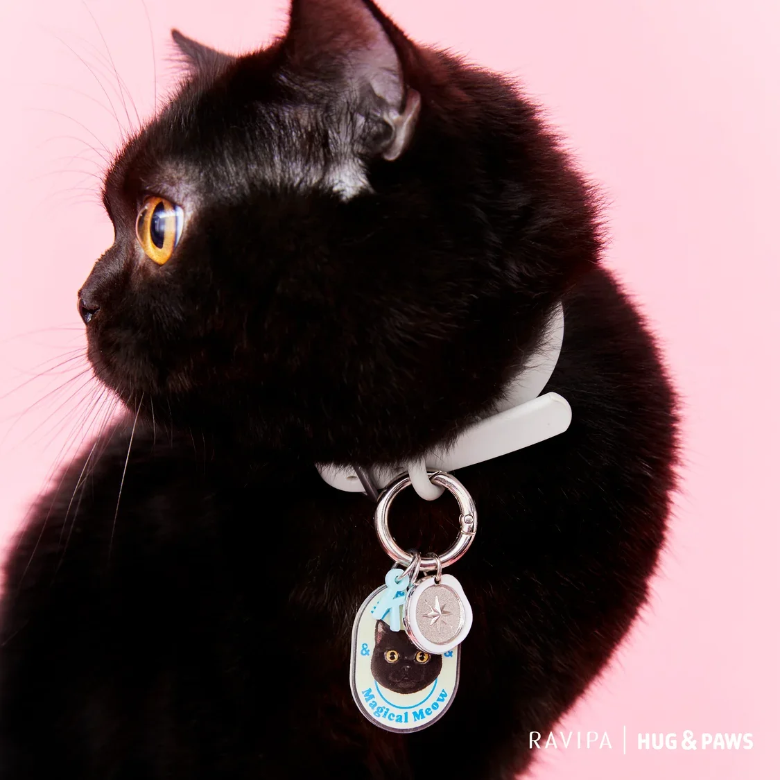 Ravipa_Post-42_1_2048x2048.webp