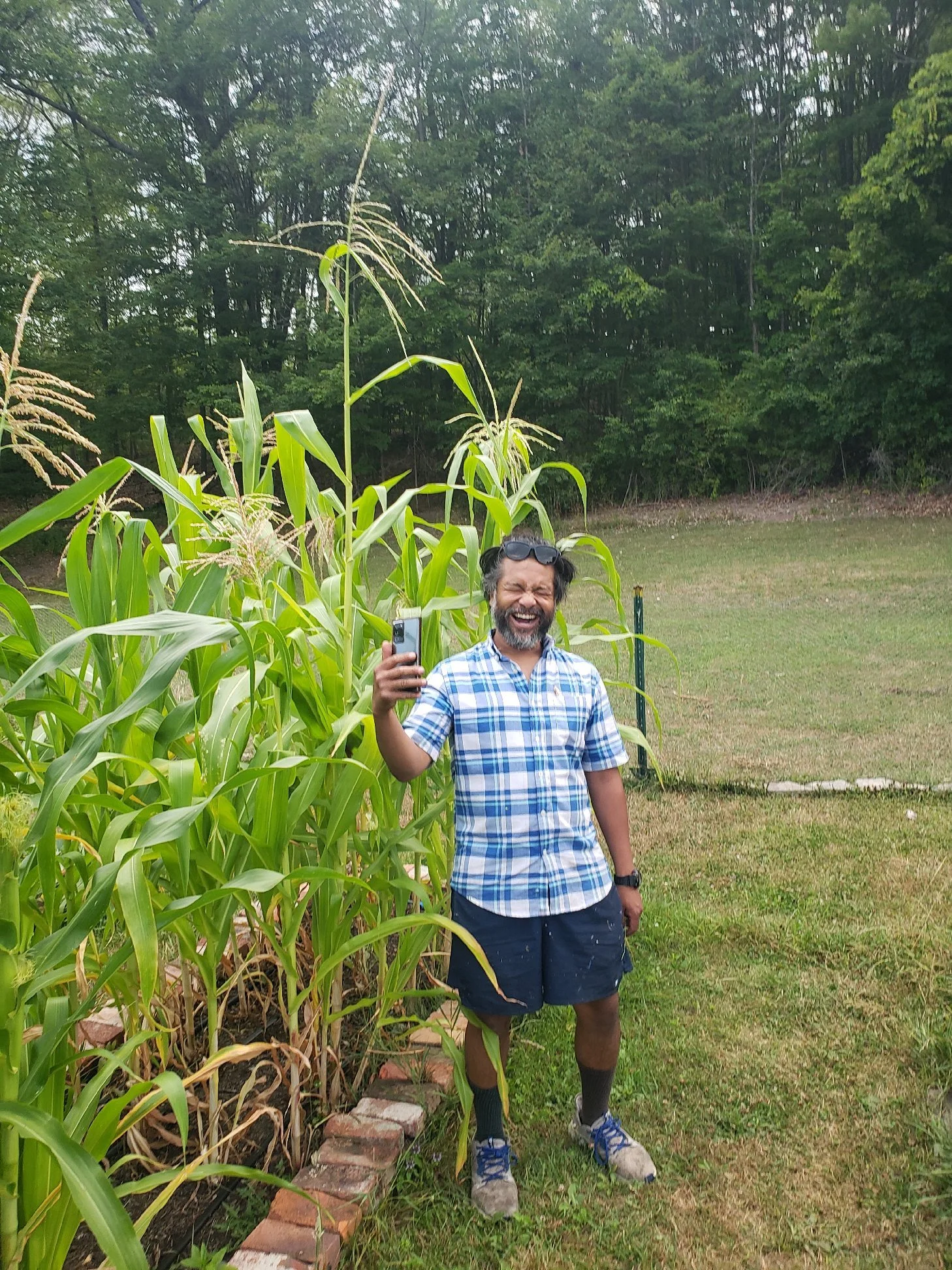 Man smiling and taking a selfie in a garden with tall corn plants, wearing a plaid shirt, shorts, and outdoor shoes.