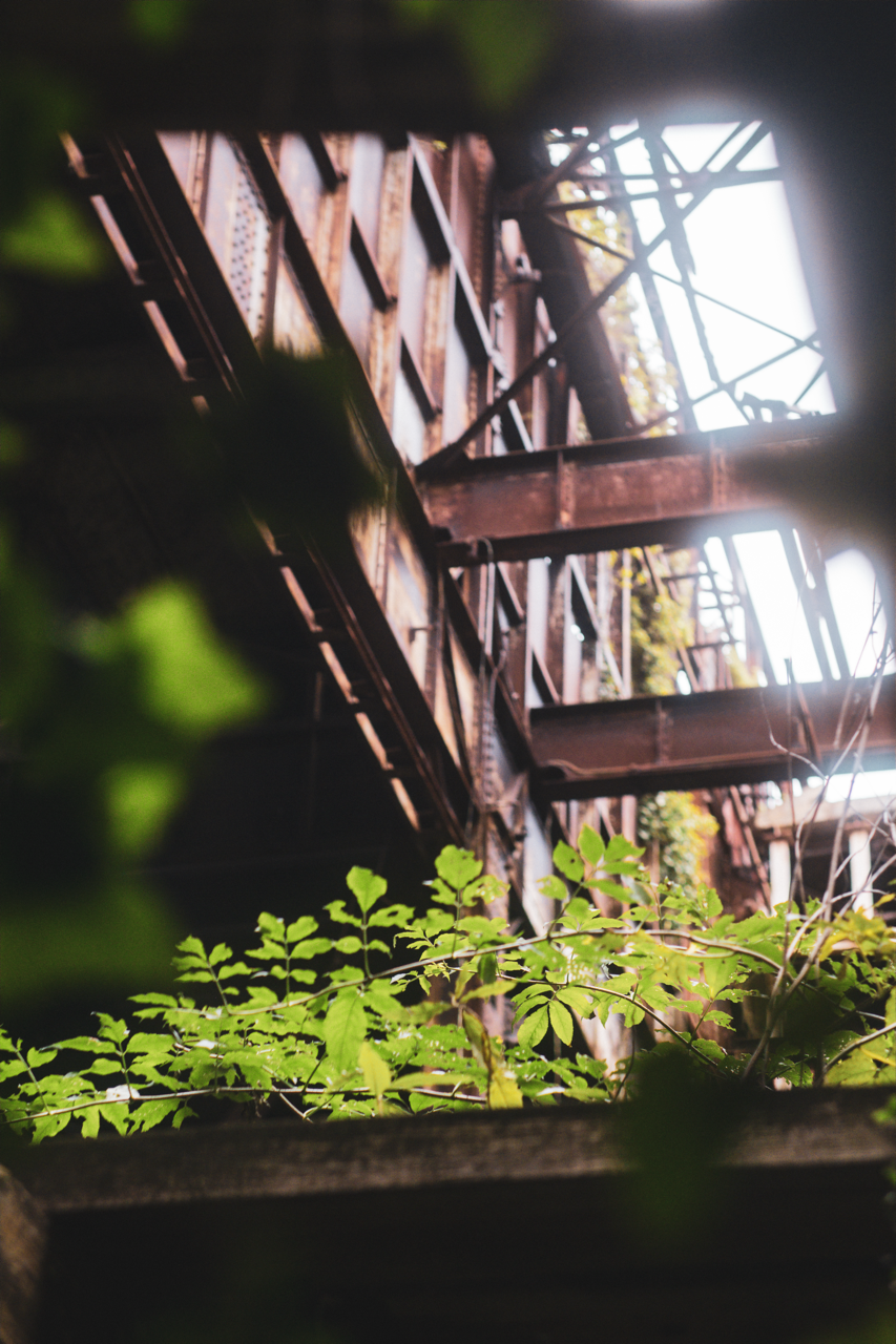 DSCF4732-2 Large.png