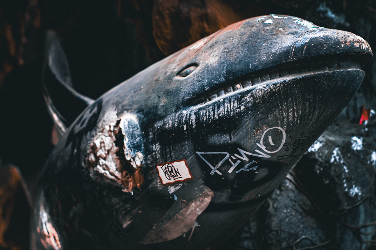 DSCF3424-4 Large.png