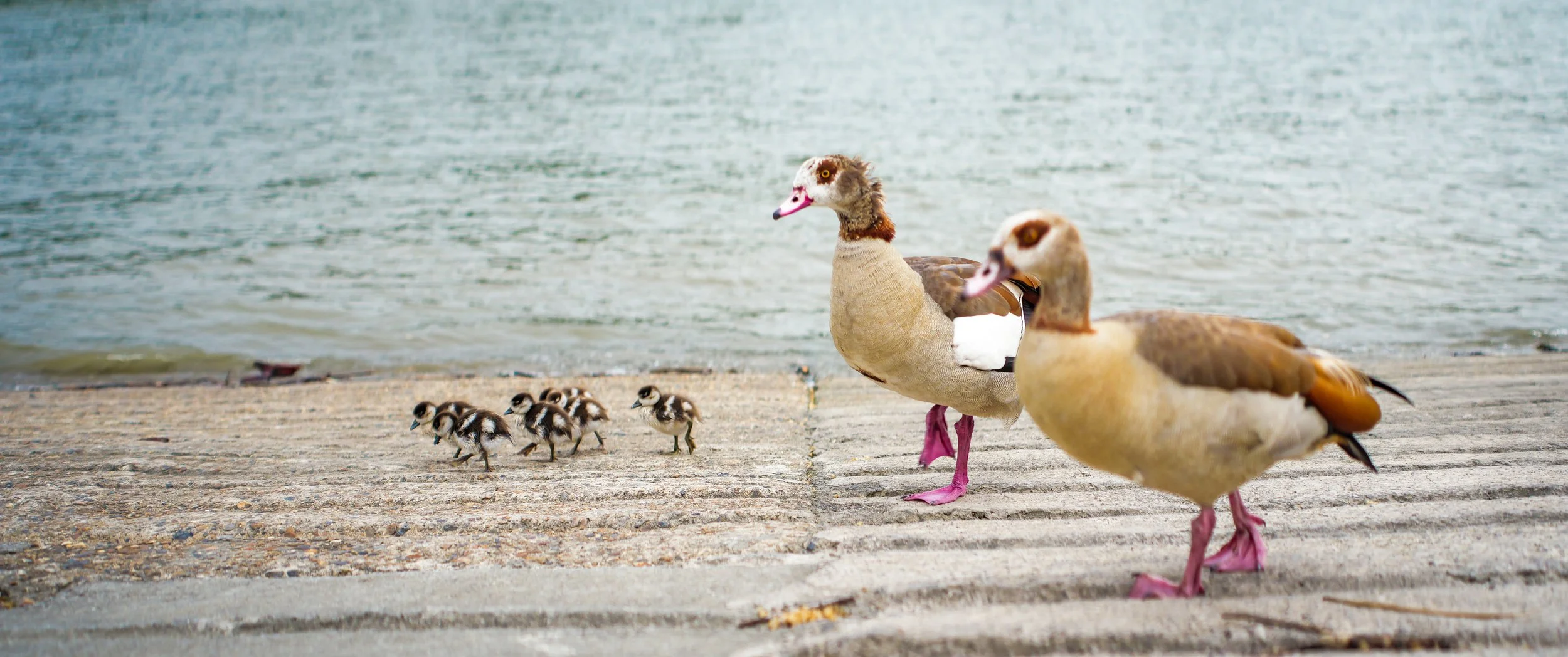 morganasteelephotography_LND2206_Anamorphic3054-2.jpg
