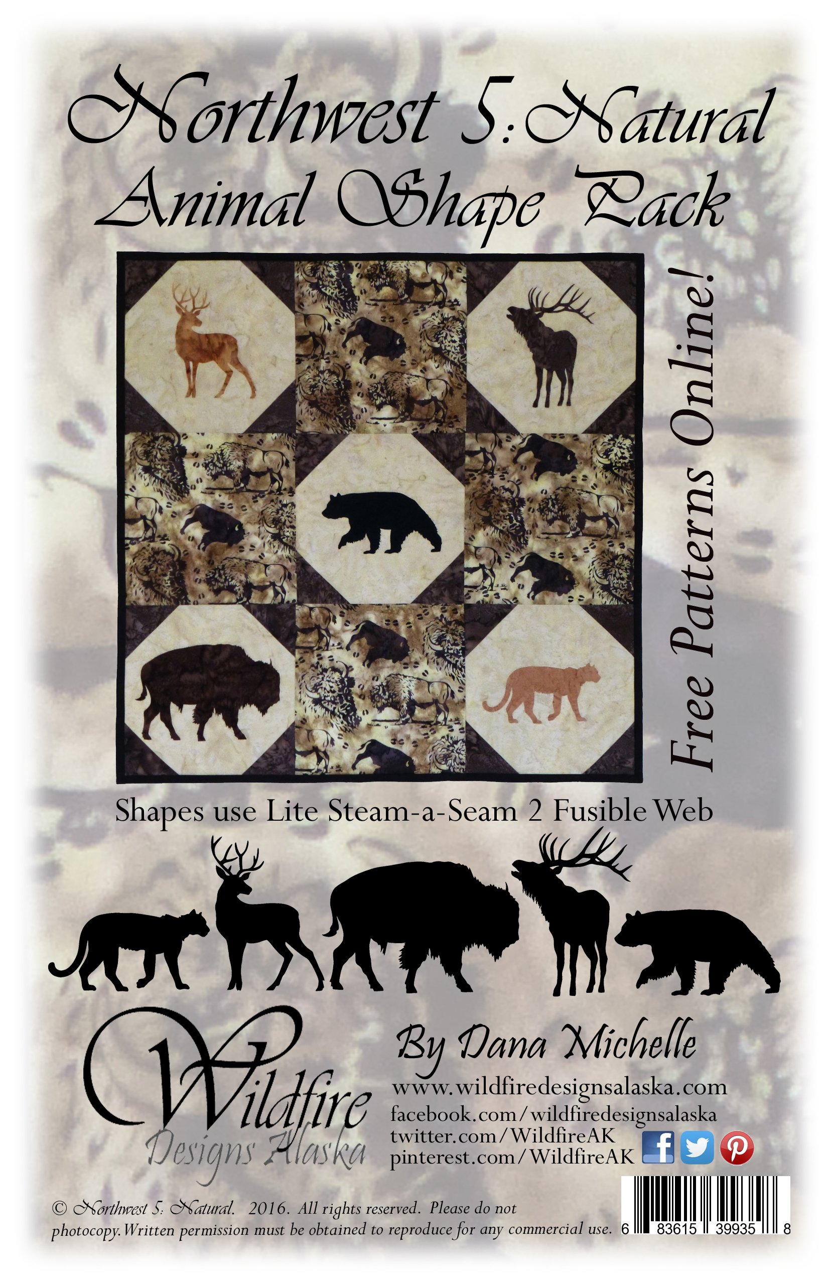 Northwest 5 Laser Shapes