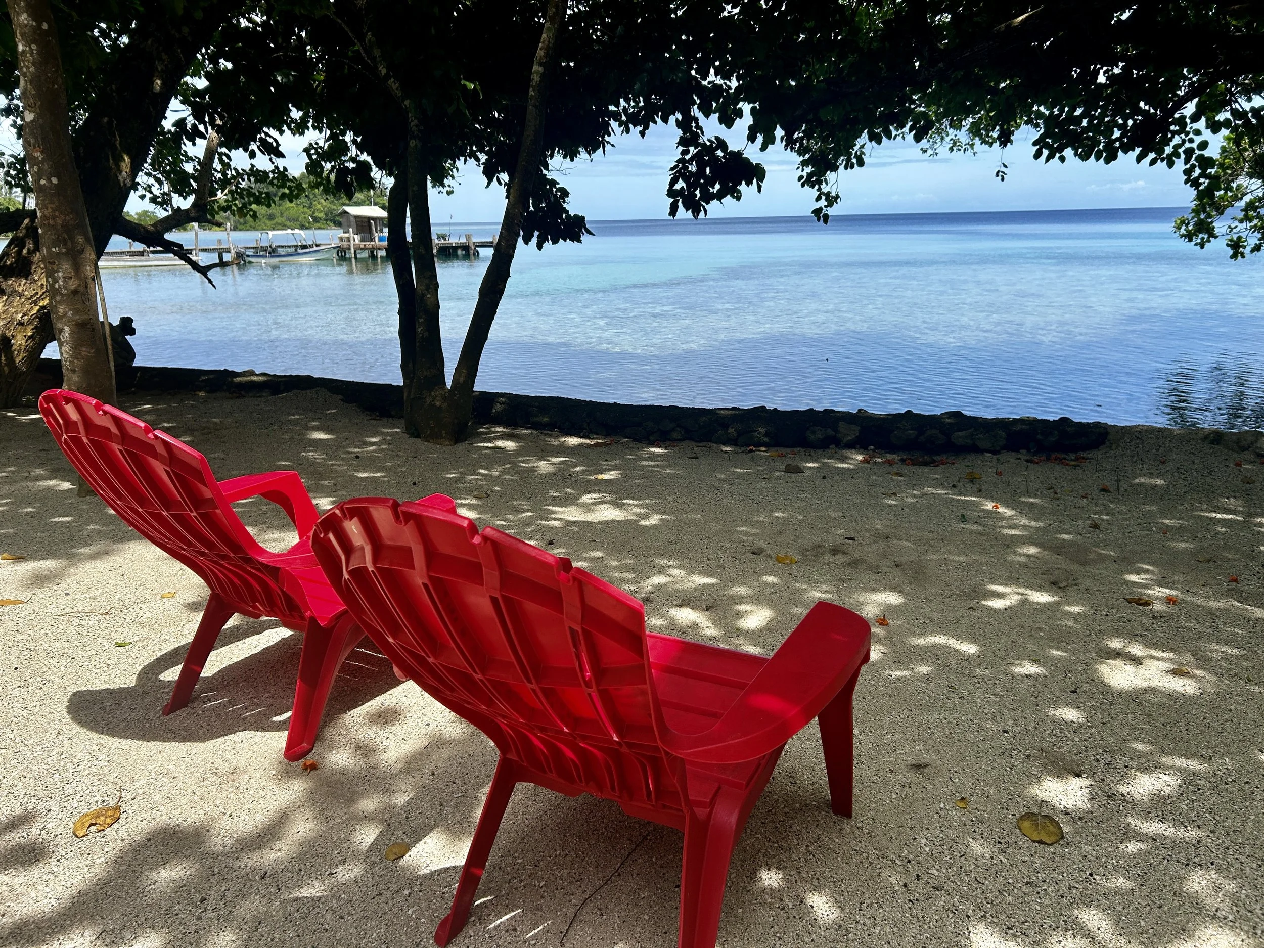 The love and loathe of Unsolicited Advice