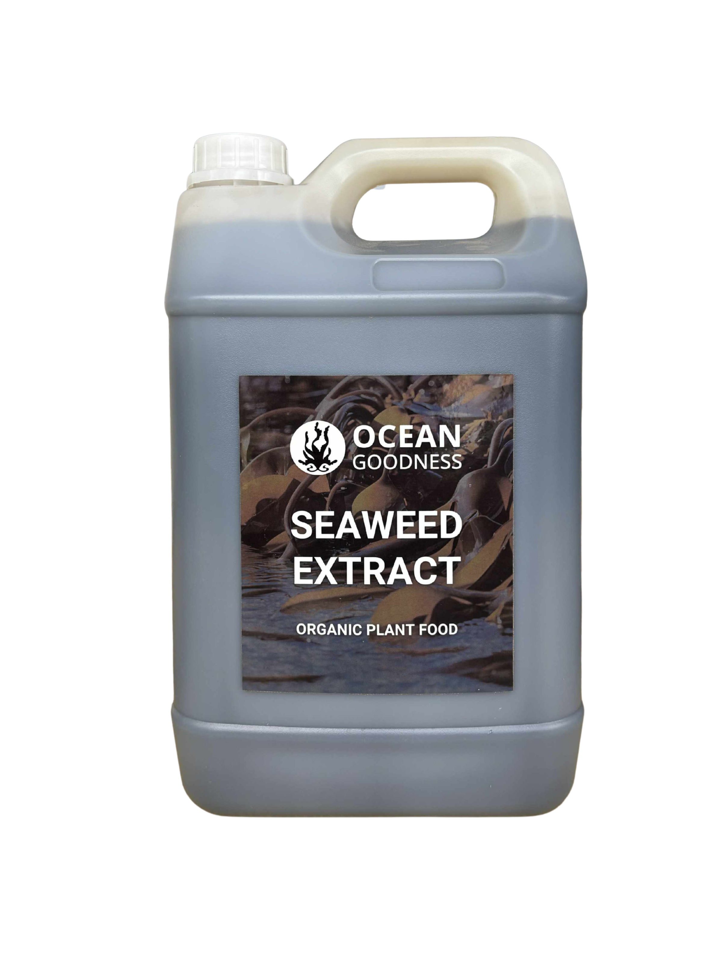Seaweed Extract 5L