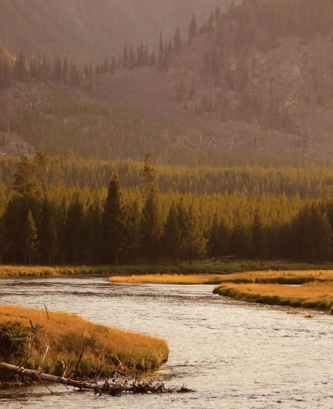 Property/land shoot (handheld and aerial)