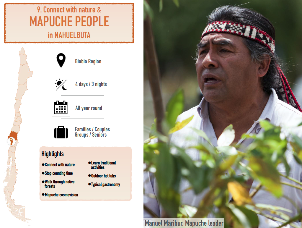 NAHUELBUTA-CHILE-GIVE-BACK-CHILE-AUS.png