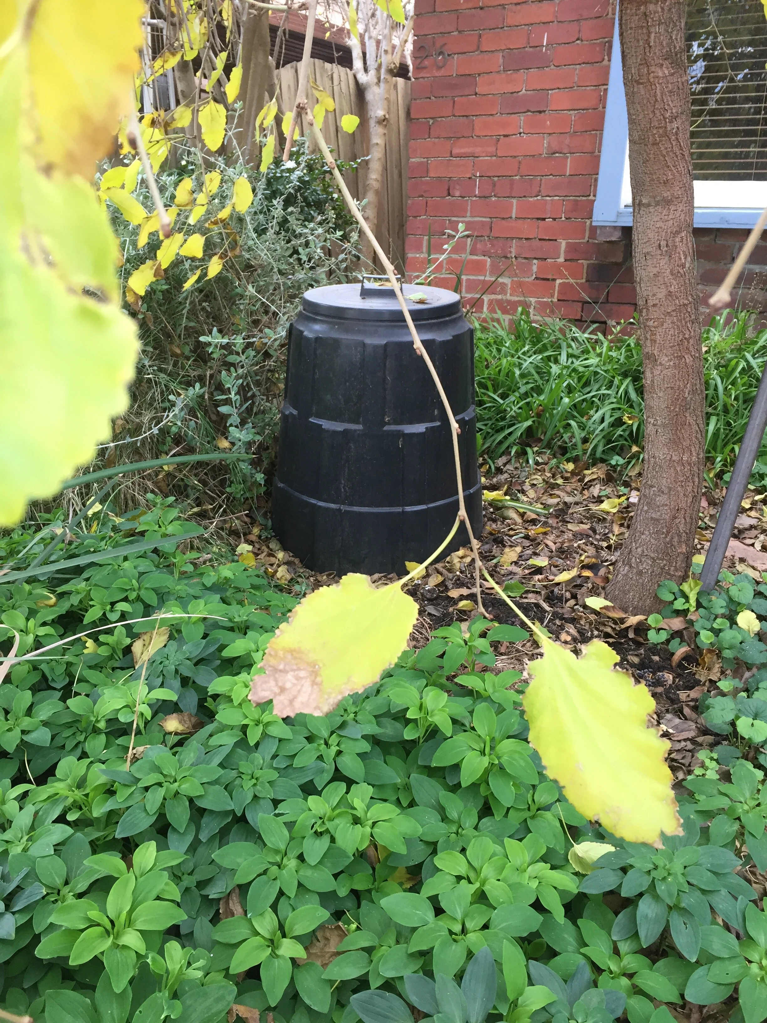 Compost-Bin-Brunswick-Melbourne.JPG