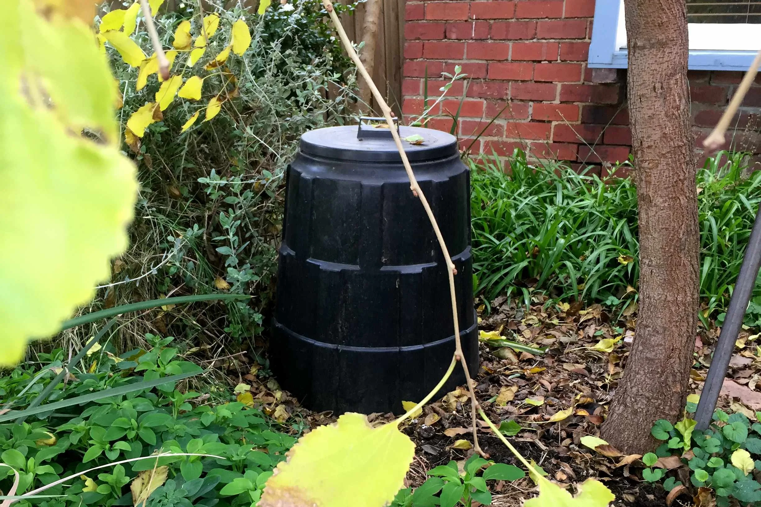 Compost bin