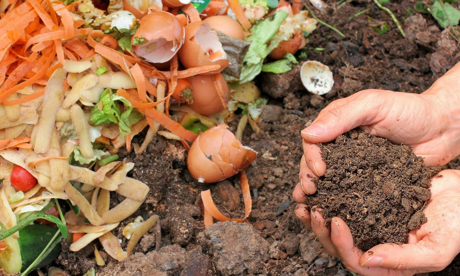 Photo of veggie scraps and egg shells on compost pile with hands holding soil