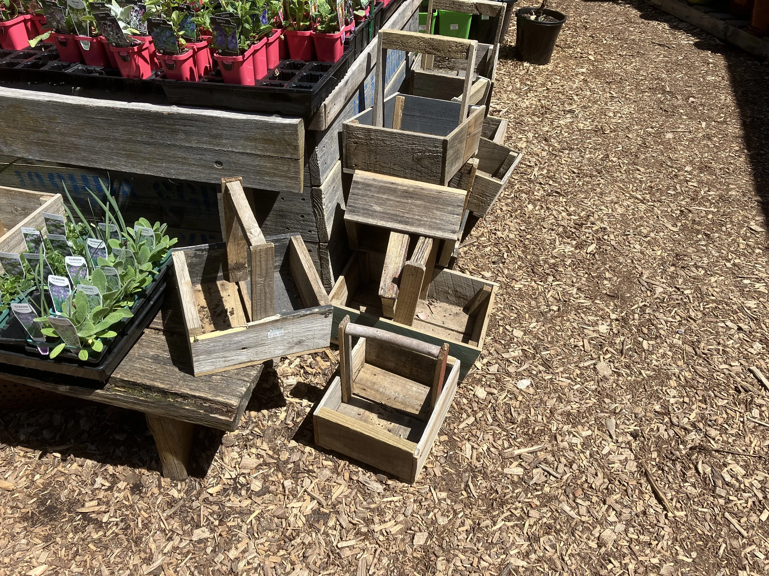 do-it-yourself-grow-your-own-food-melbourne