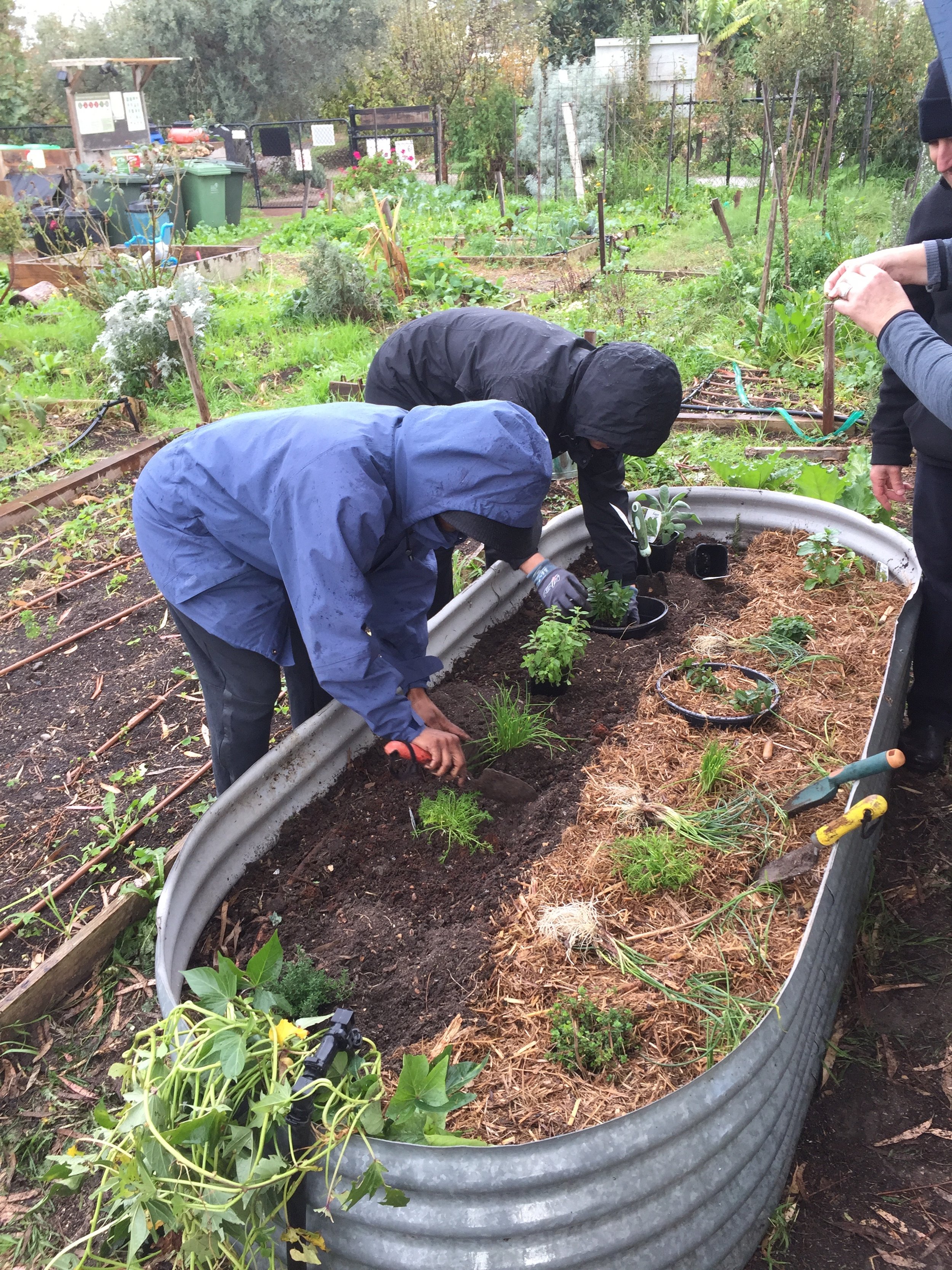 melbourne-community-gardens-short-courses