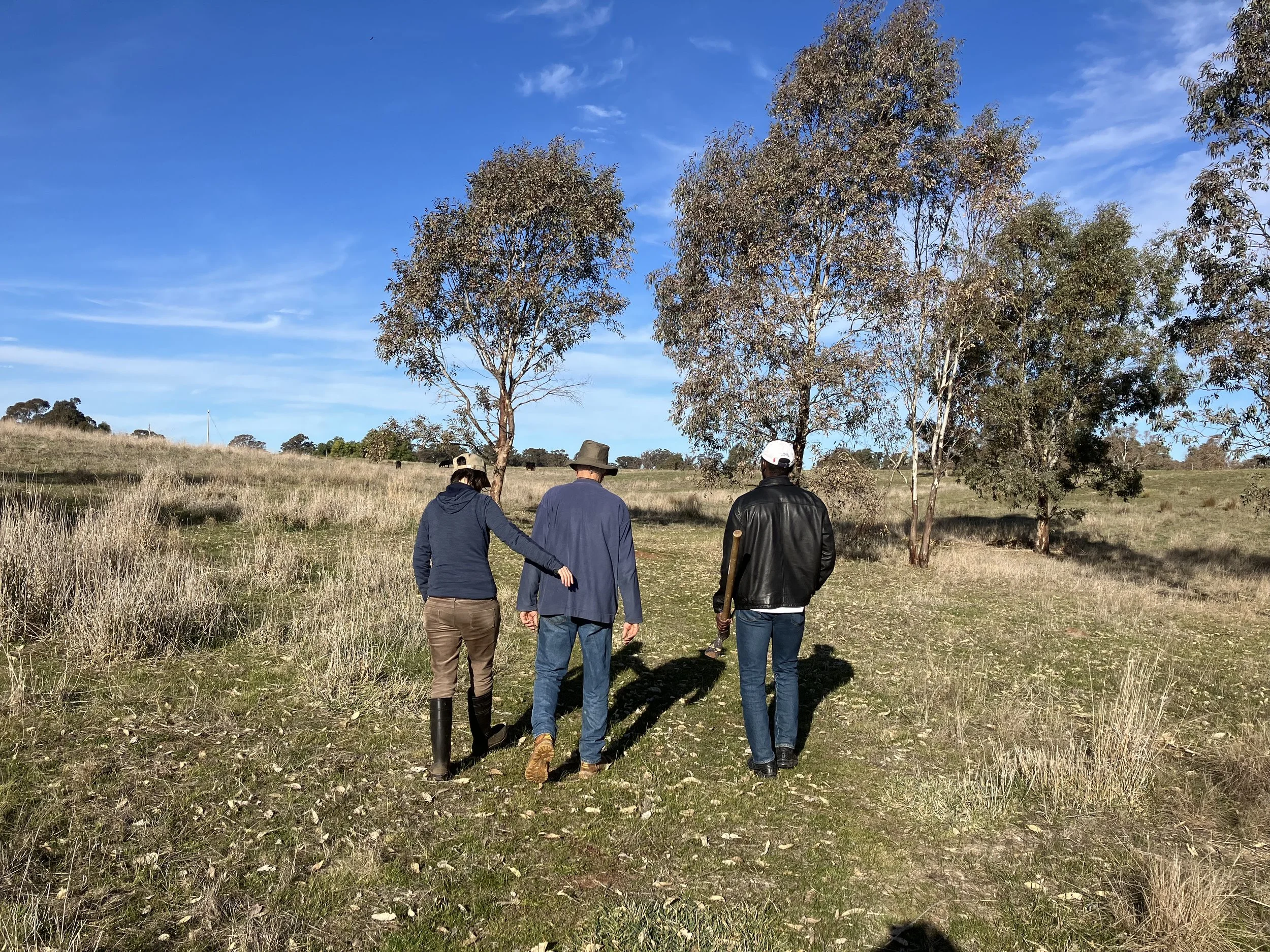 Travel with your school and/or University to Melbourne, Victoria and learn sustainability.