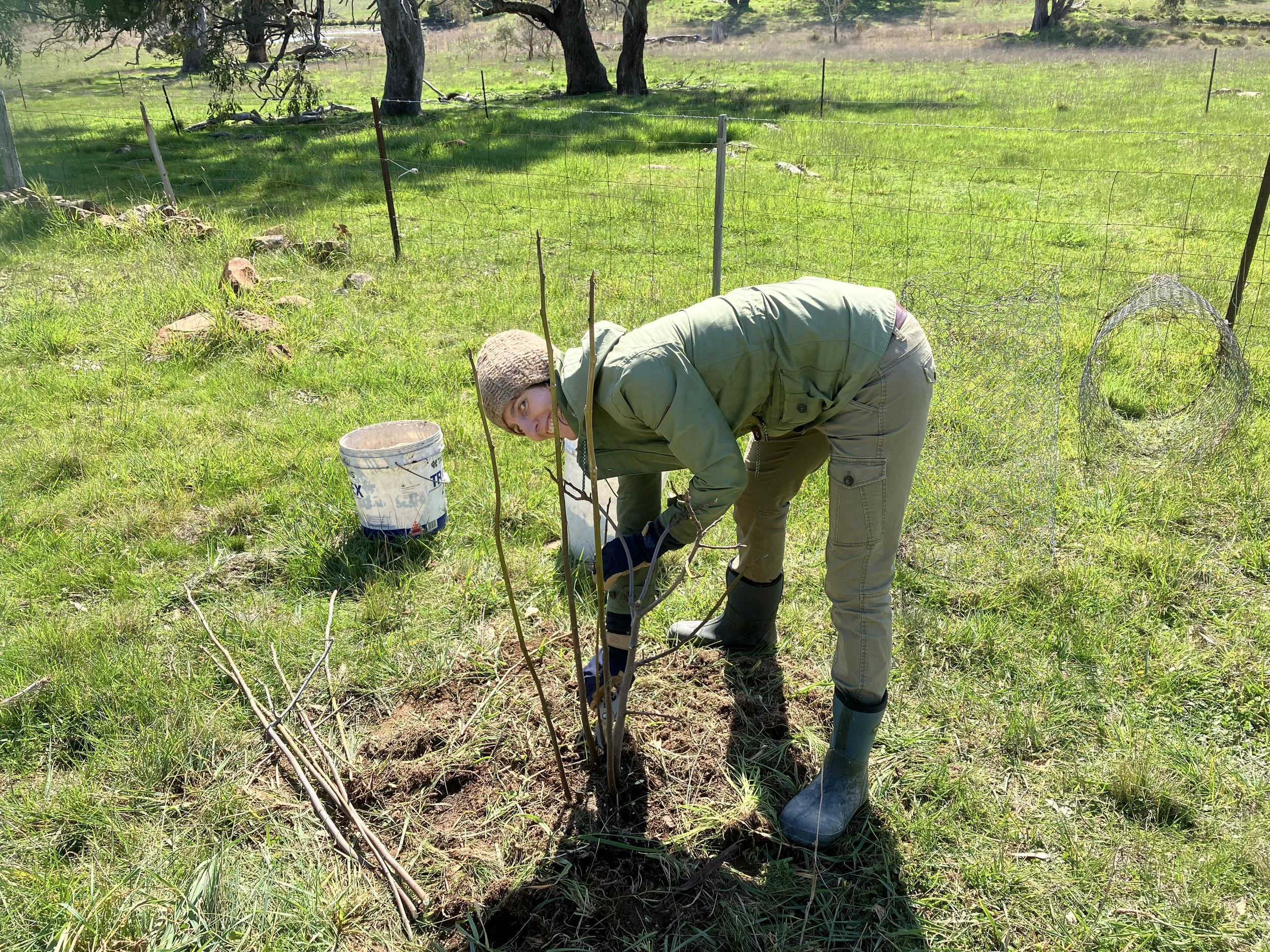 Spend a month or more in Melbourne and learn sustainability every day.