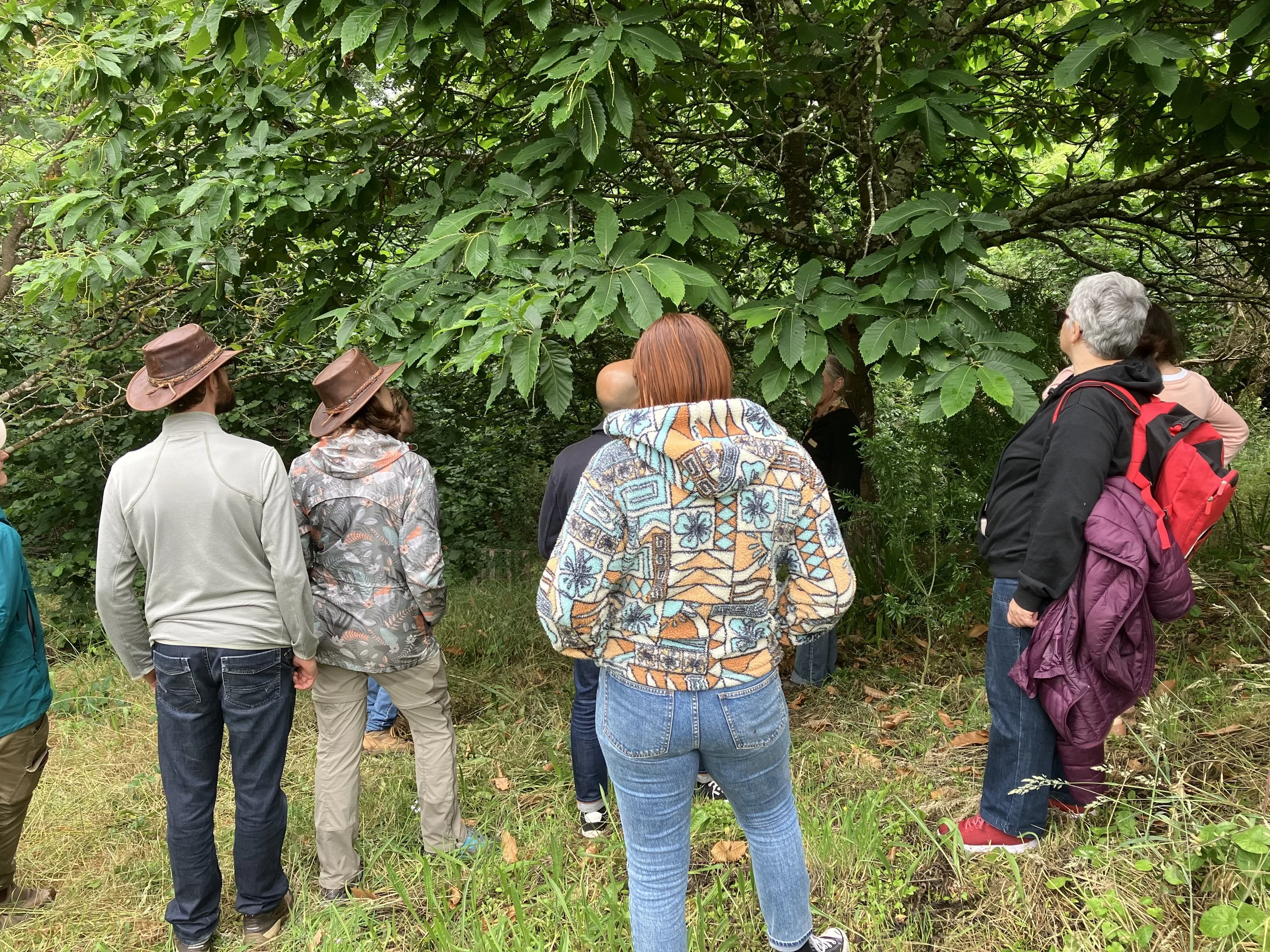 Travel to Australia and visit permaculture, community hubs and regenerative sites.