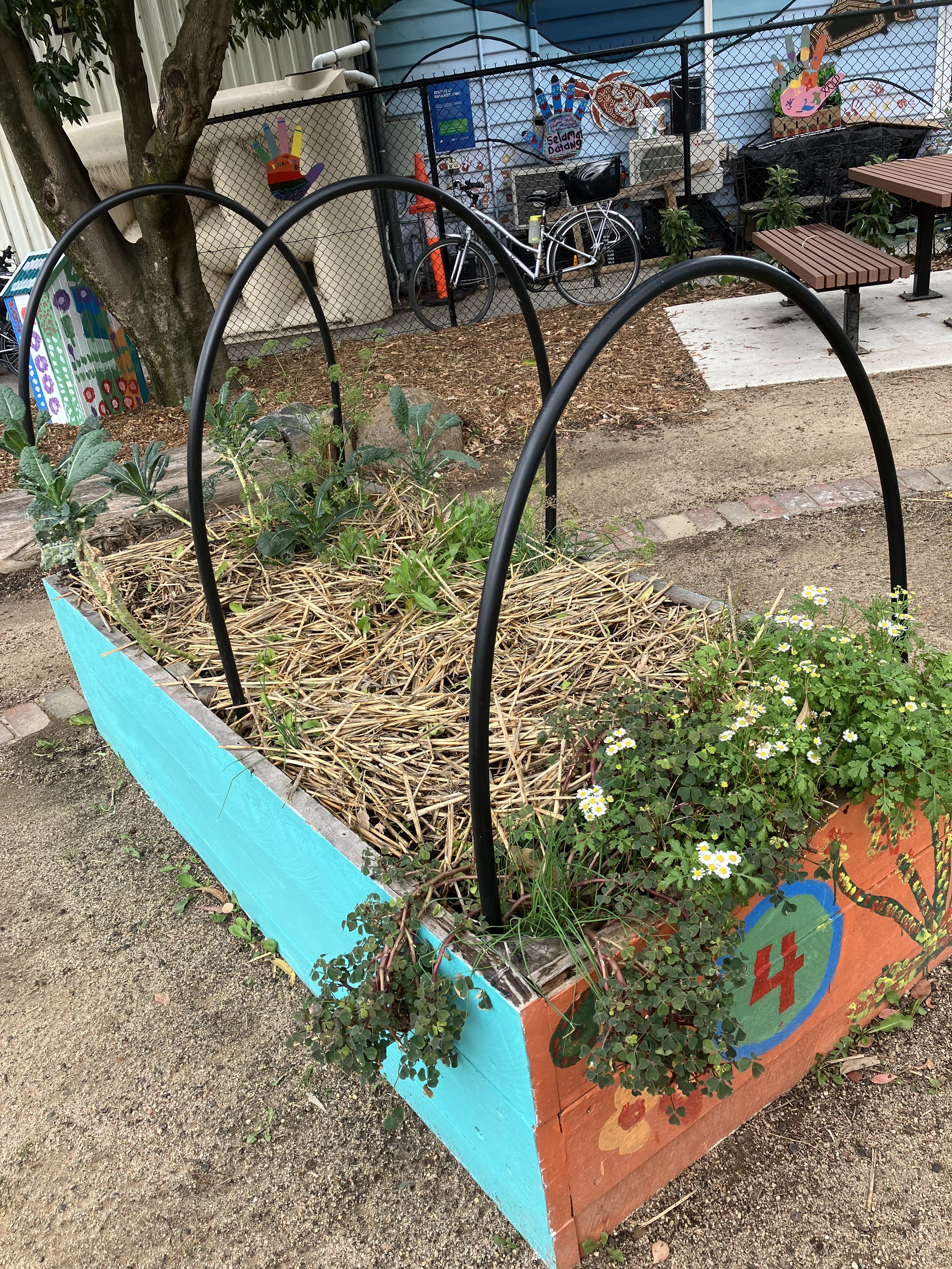 Melbourne-sustainable-initiatives-australia