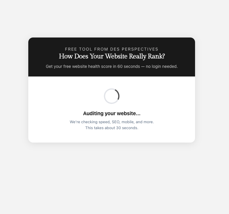 SEO audit tool in action