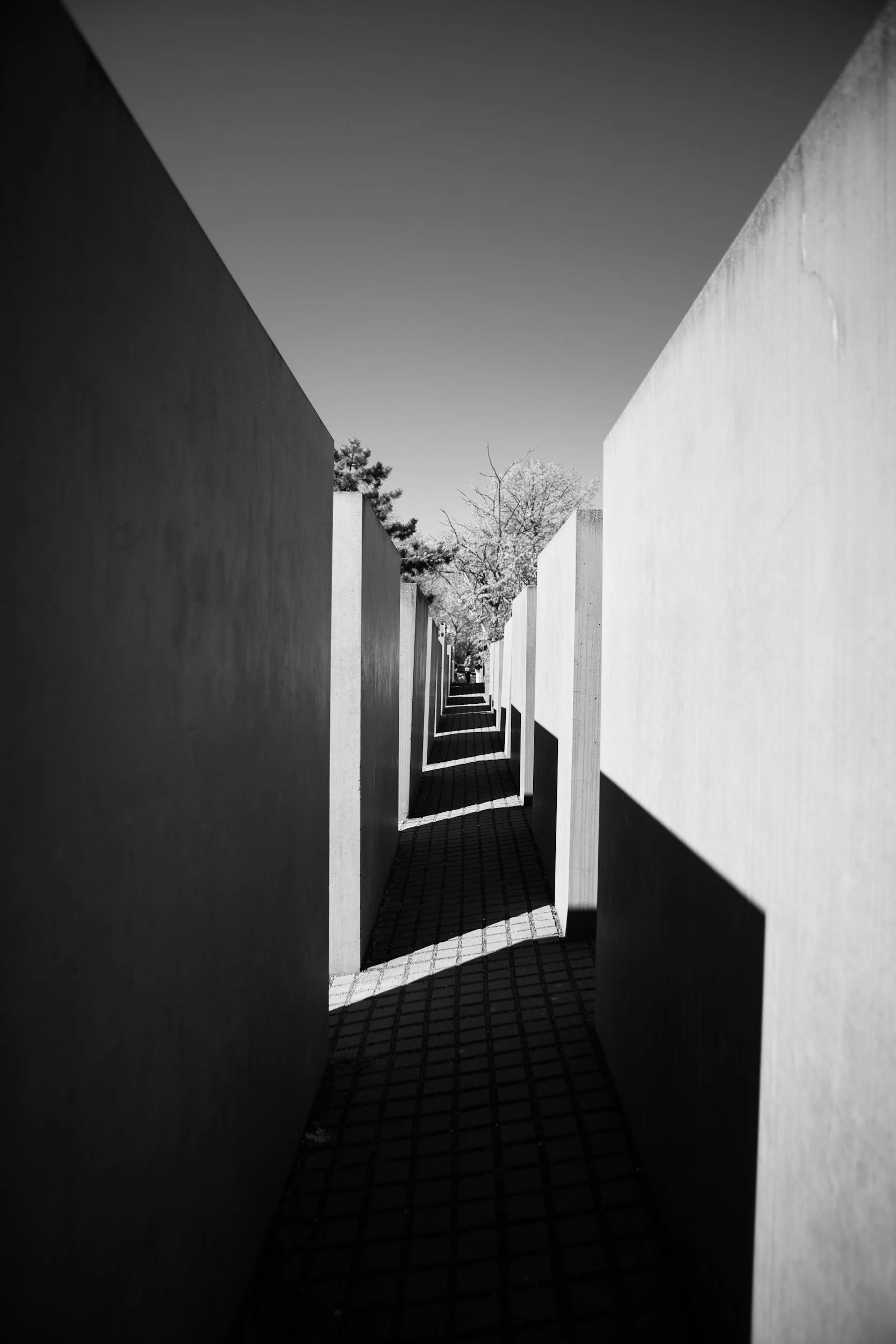 Black and white photo of a narrow pathway between tall concrete walls with shadows cast on the ground, with some trees visible in the background.