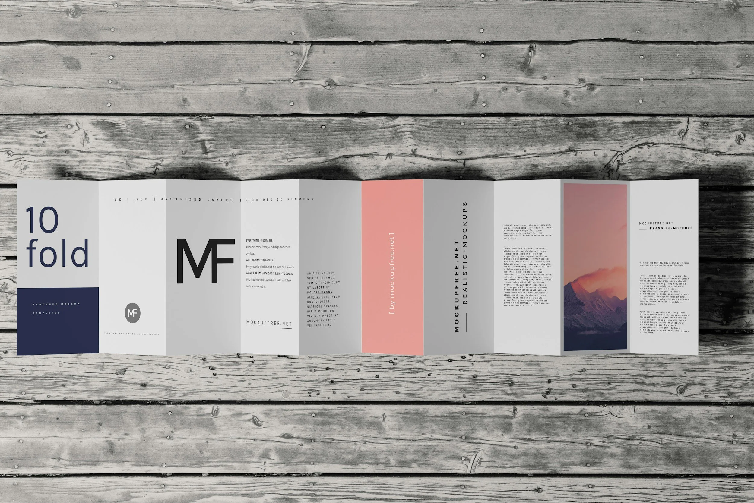 High quality printed brochure