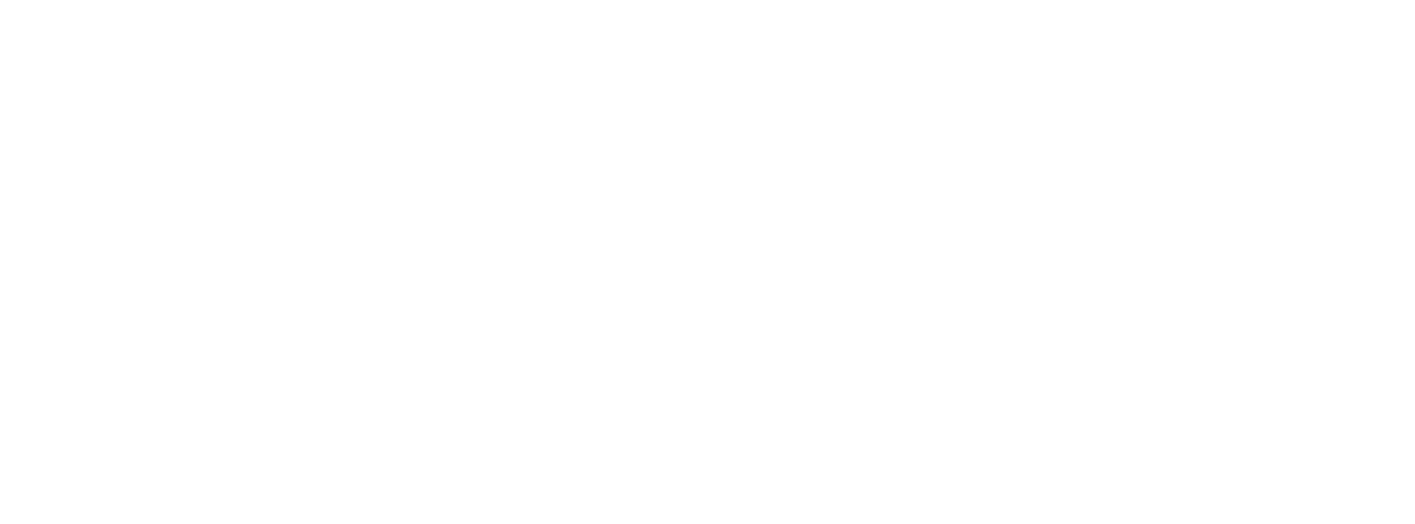 The digital strategist