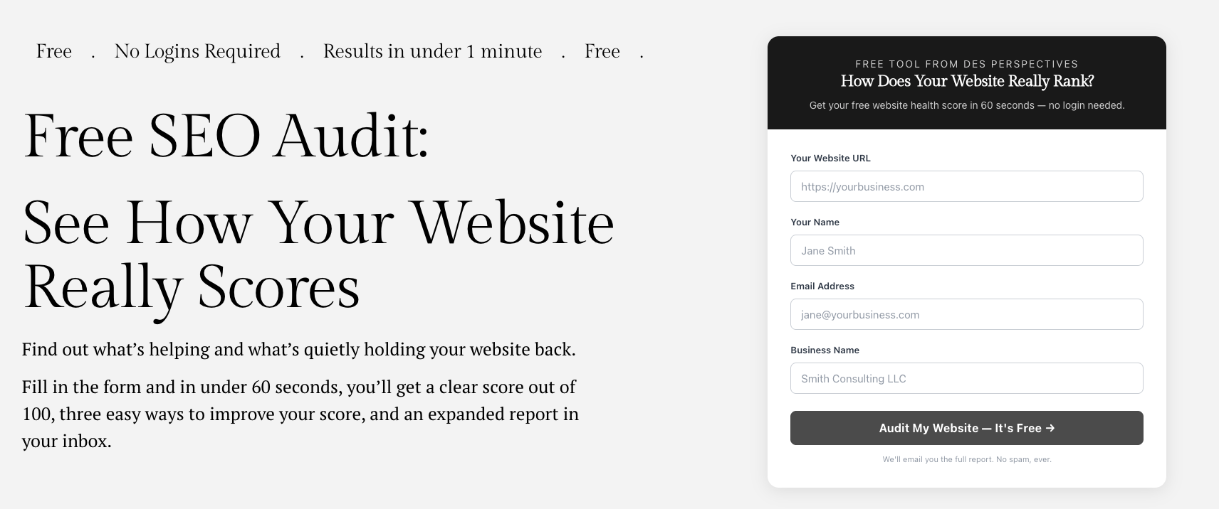 SEO Audit tool screenshot