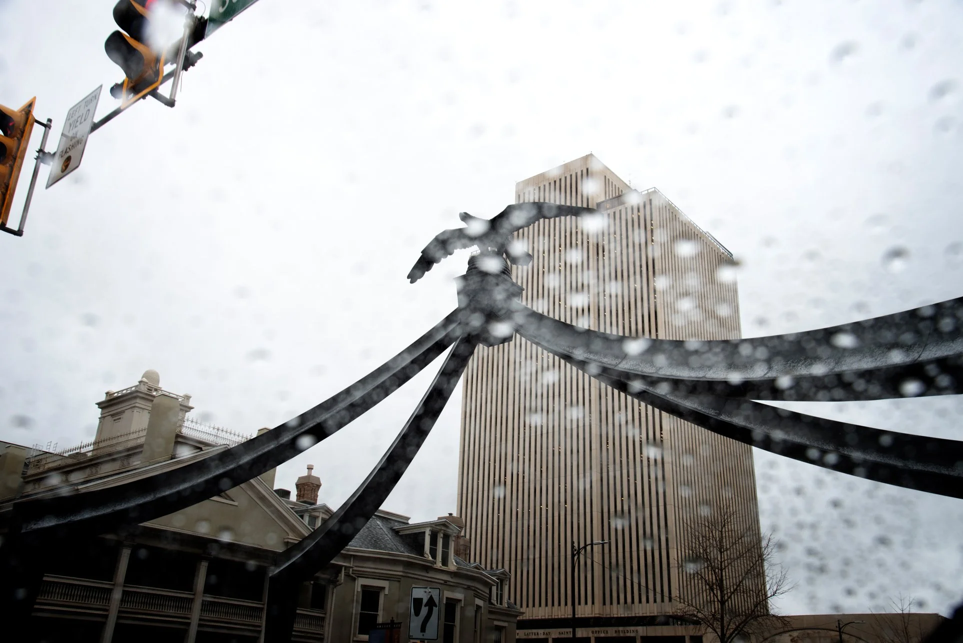 20_DSC_7550 copia.jpg