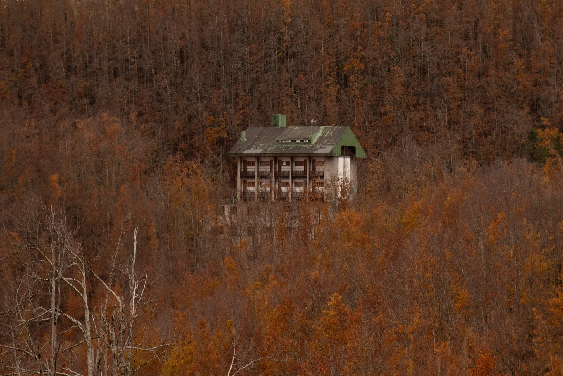 11_DSC_6217 copia.jpg