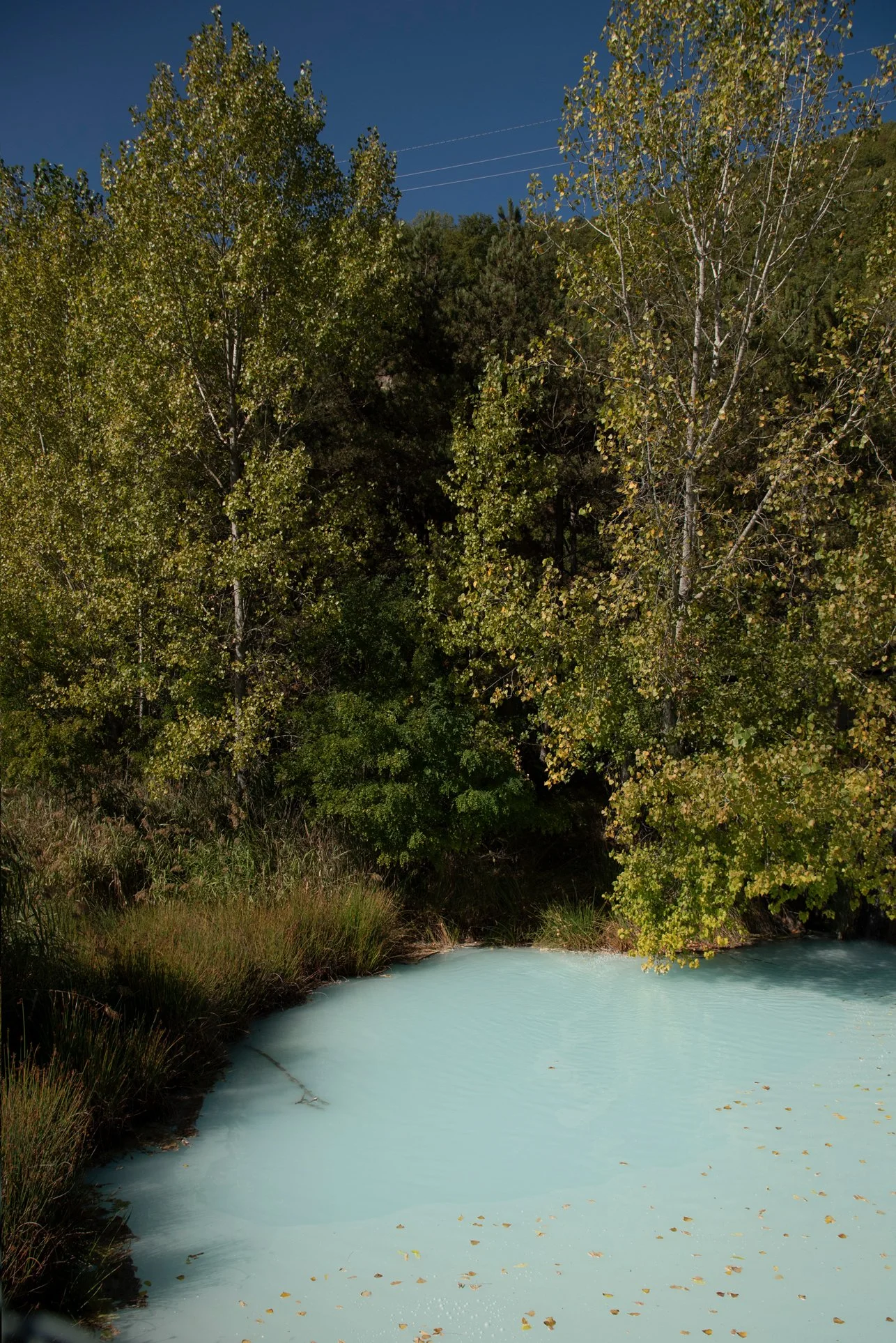 33_DSC_0818 copia.jpg