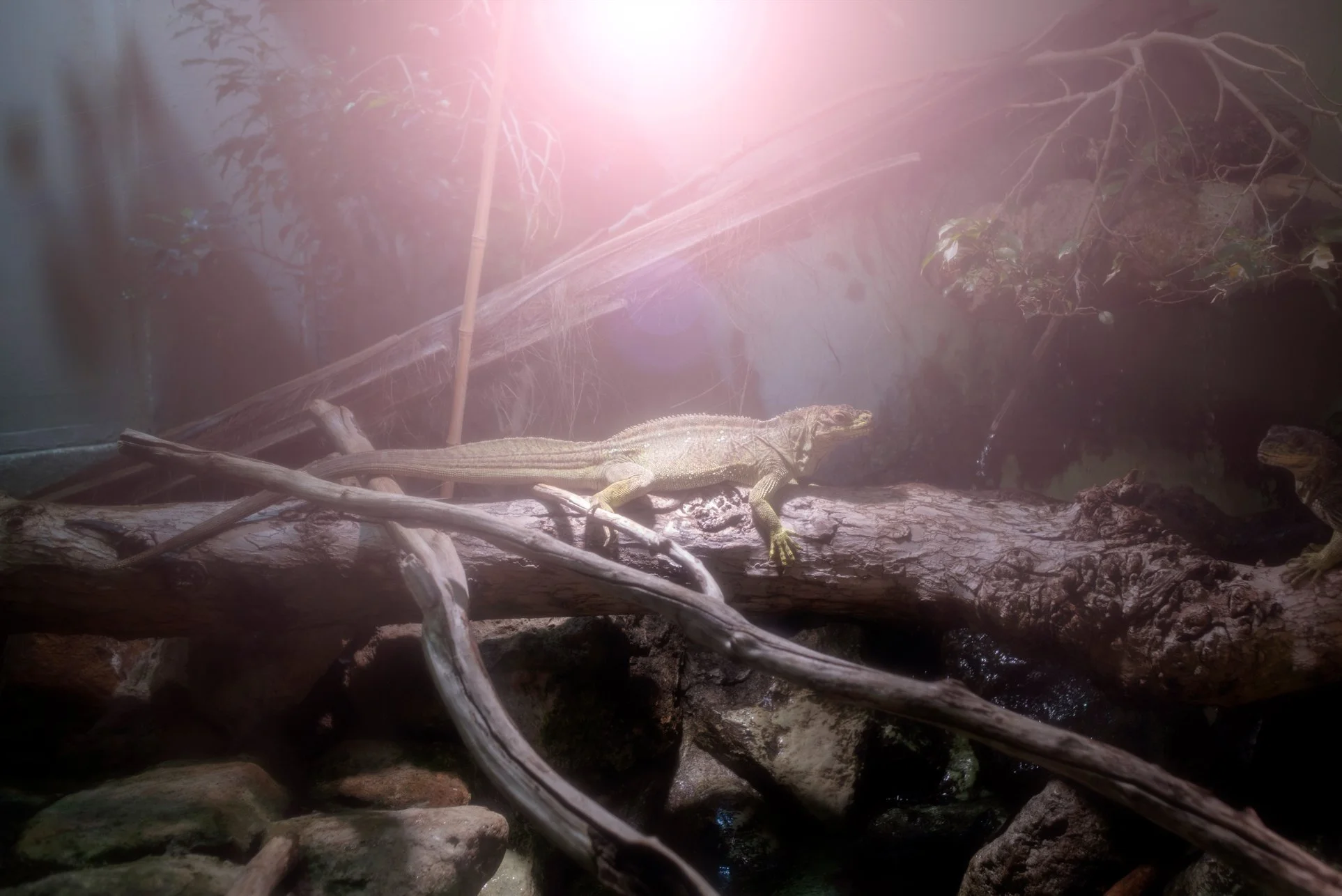 40_DSC_8864 copia 2.jpg