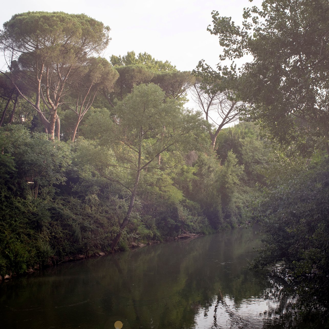 33_DSC_3082 copia 3 copia.jpg