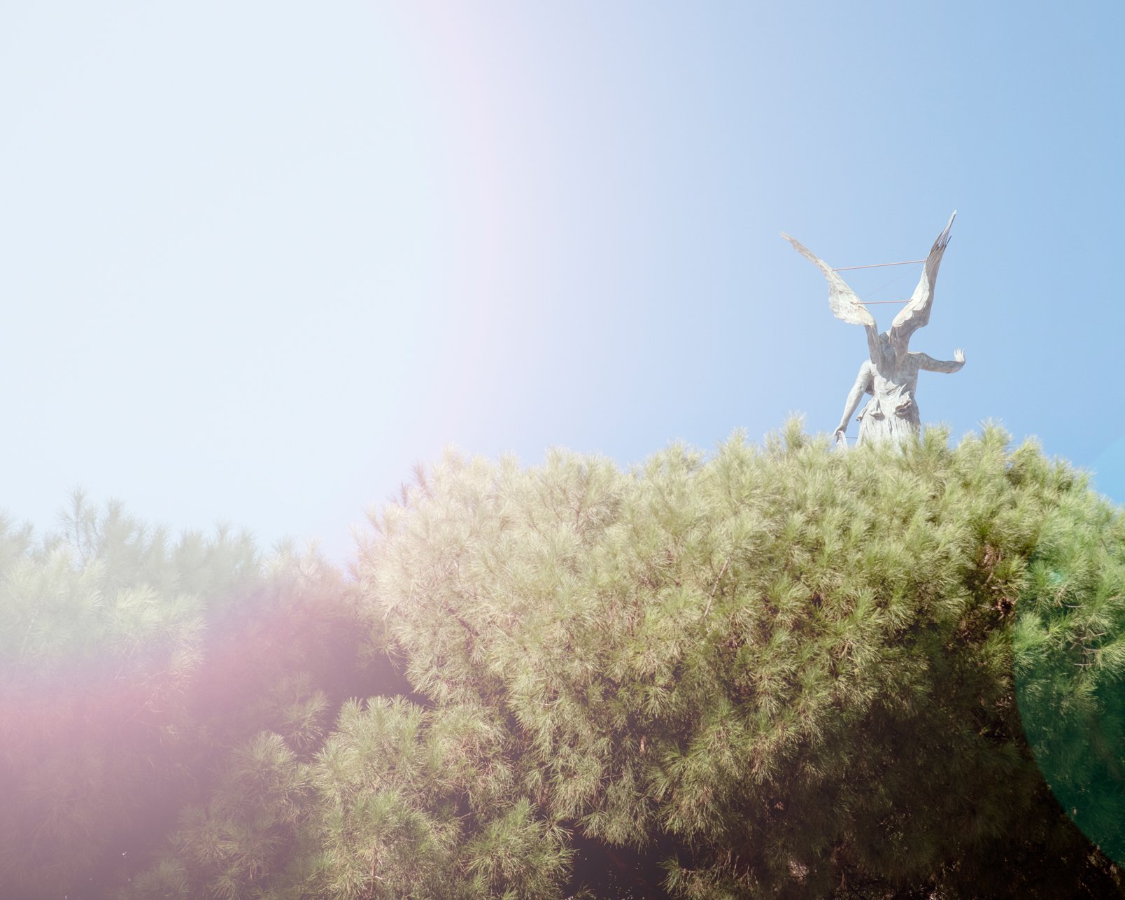 10_DSC_3681 copia 2 copia.jpg