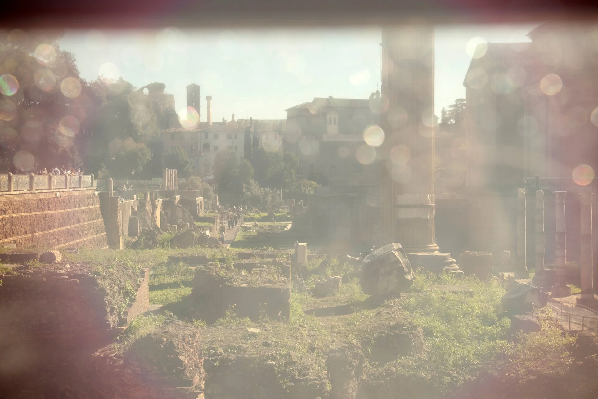 55__DSC_3691 copia 4 copia.jpg