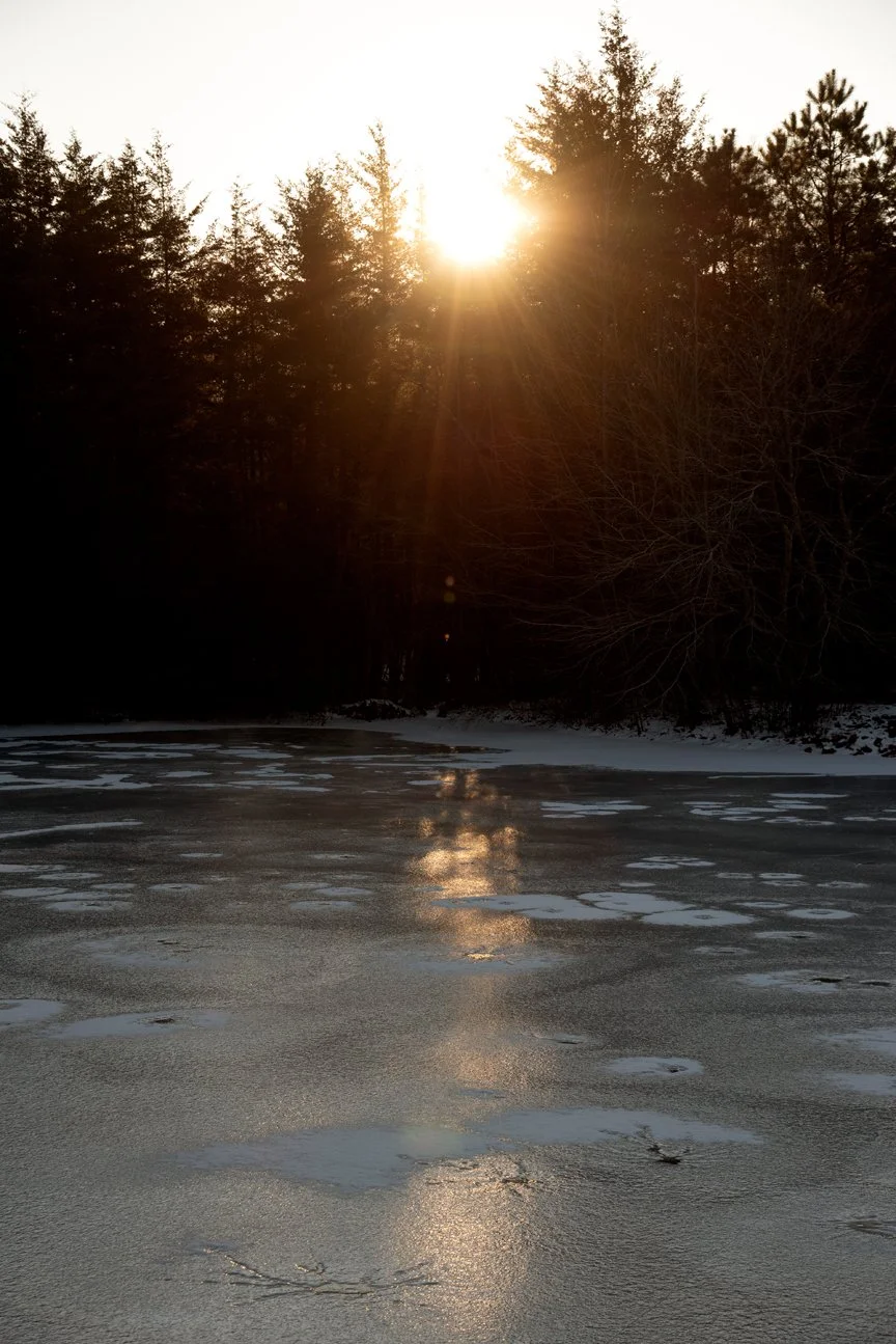 Freehold, New Jersey, 2025.