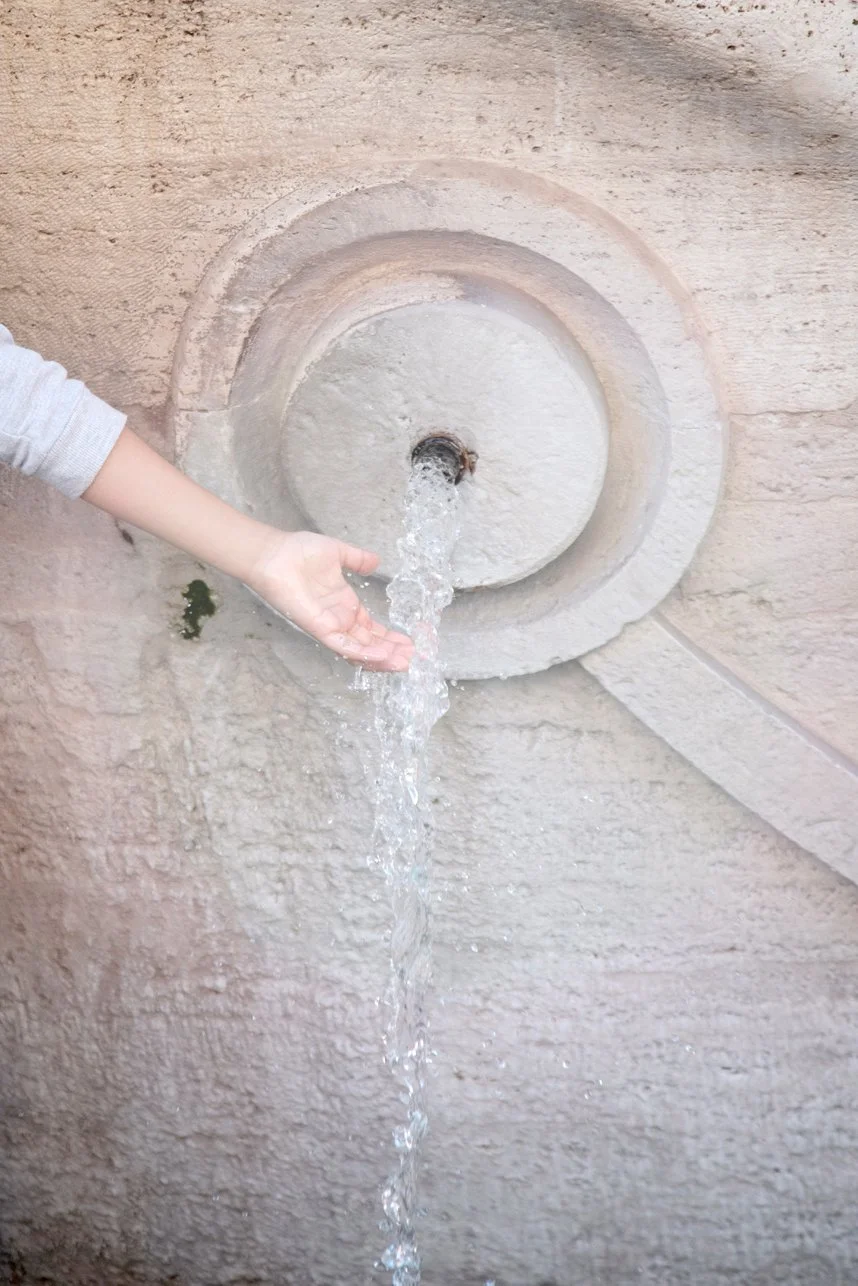 36_DSC_3910 copiax 4.jpg