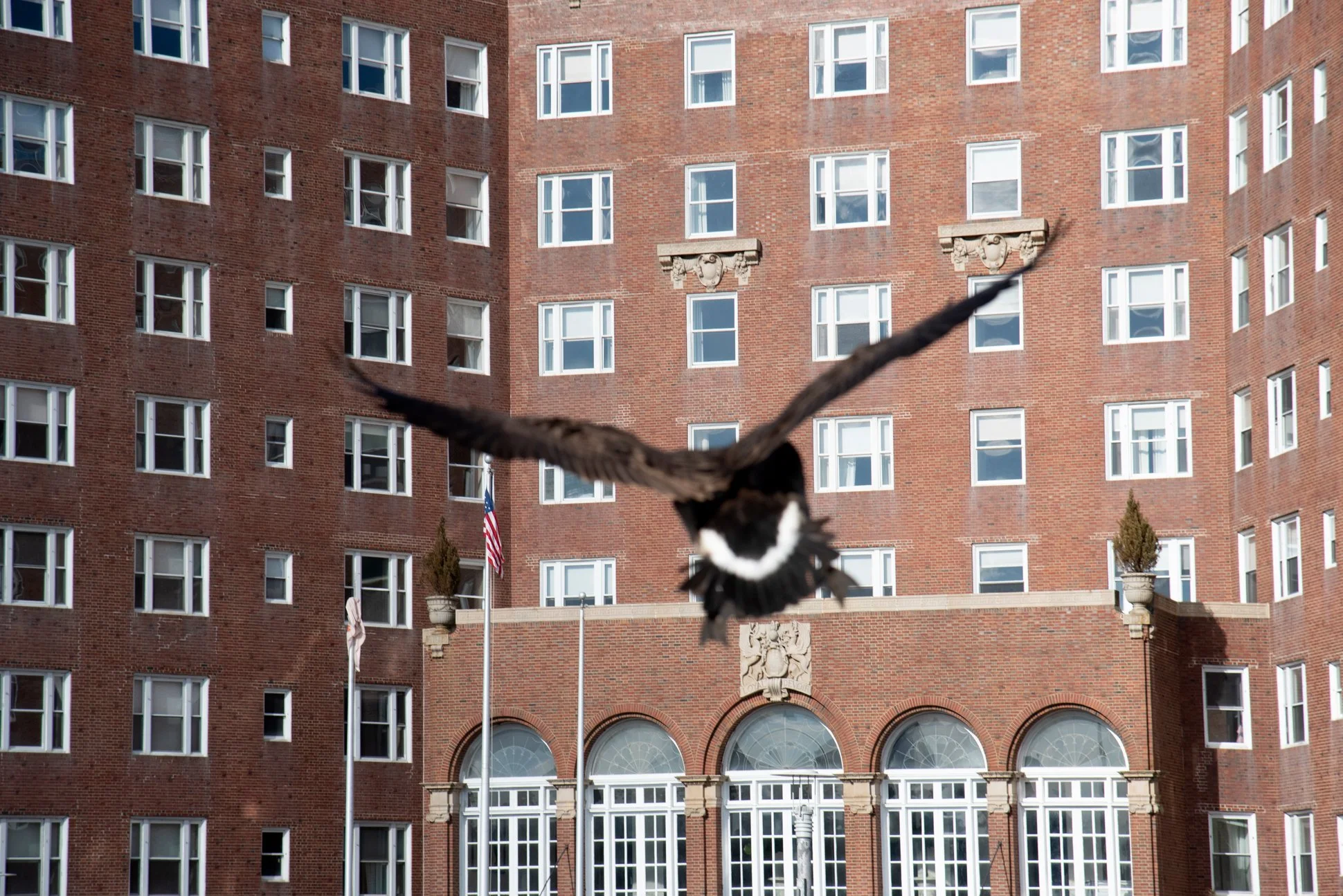 Asbury Park, New Jersey, 2025.