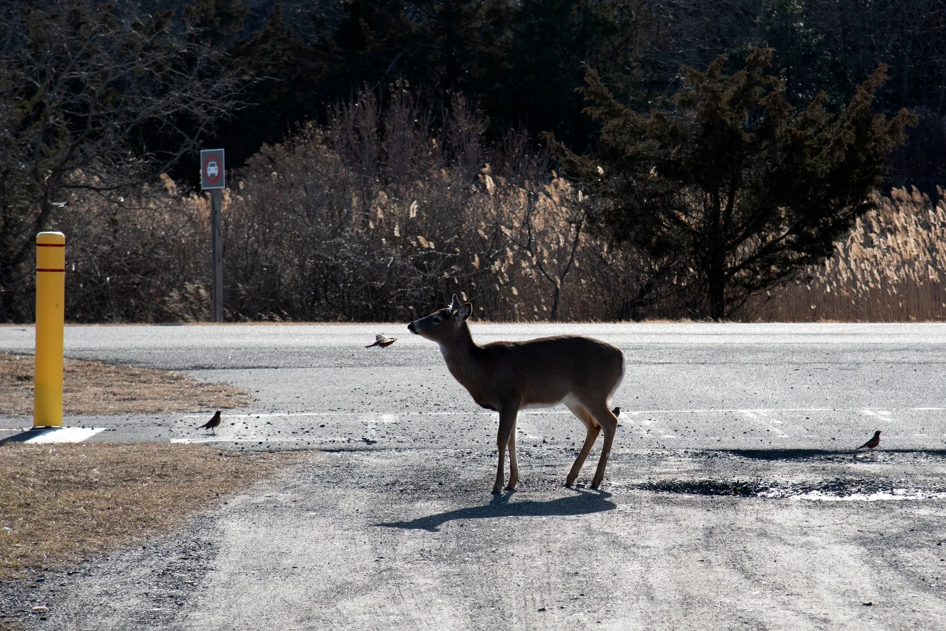 Sandy Hook, New Jersey, 2025