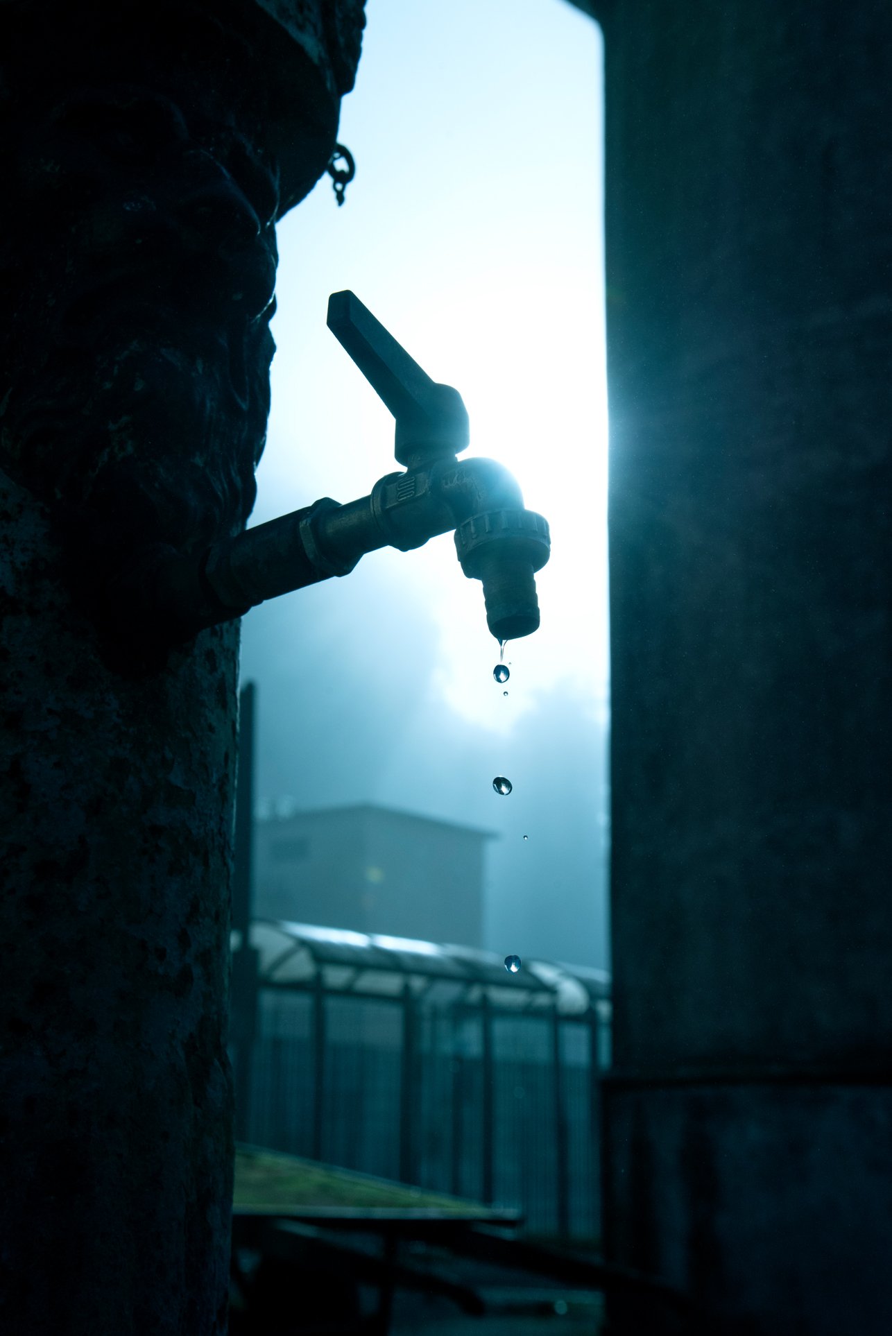 00_DSC_7566 copdddddia.jpg