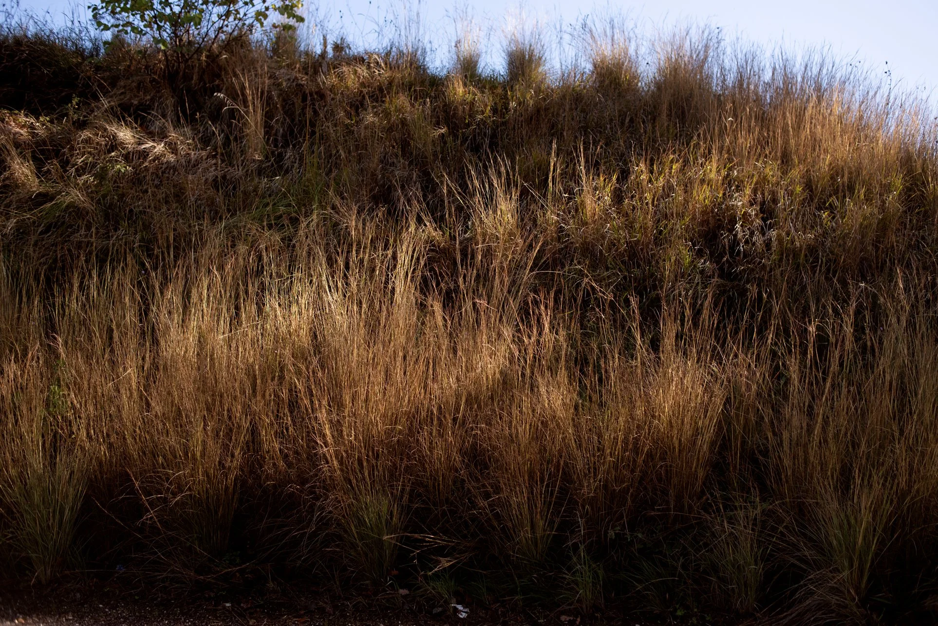 43_DSC_7066 copia.jpg