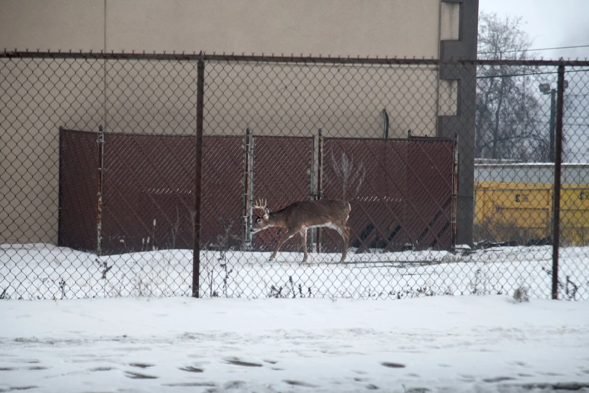 Clairton, Pennsylvania, 2025.