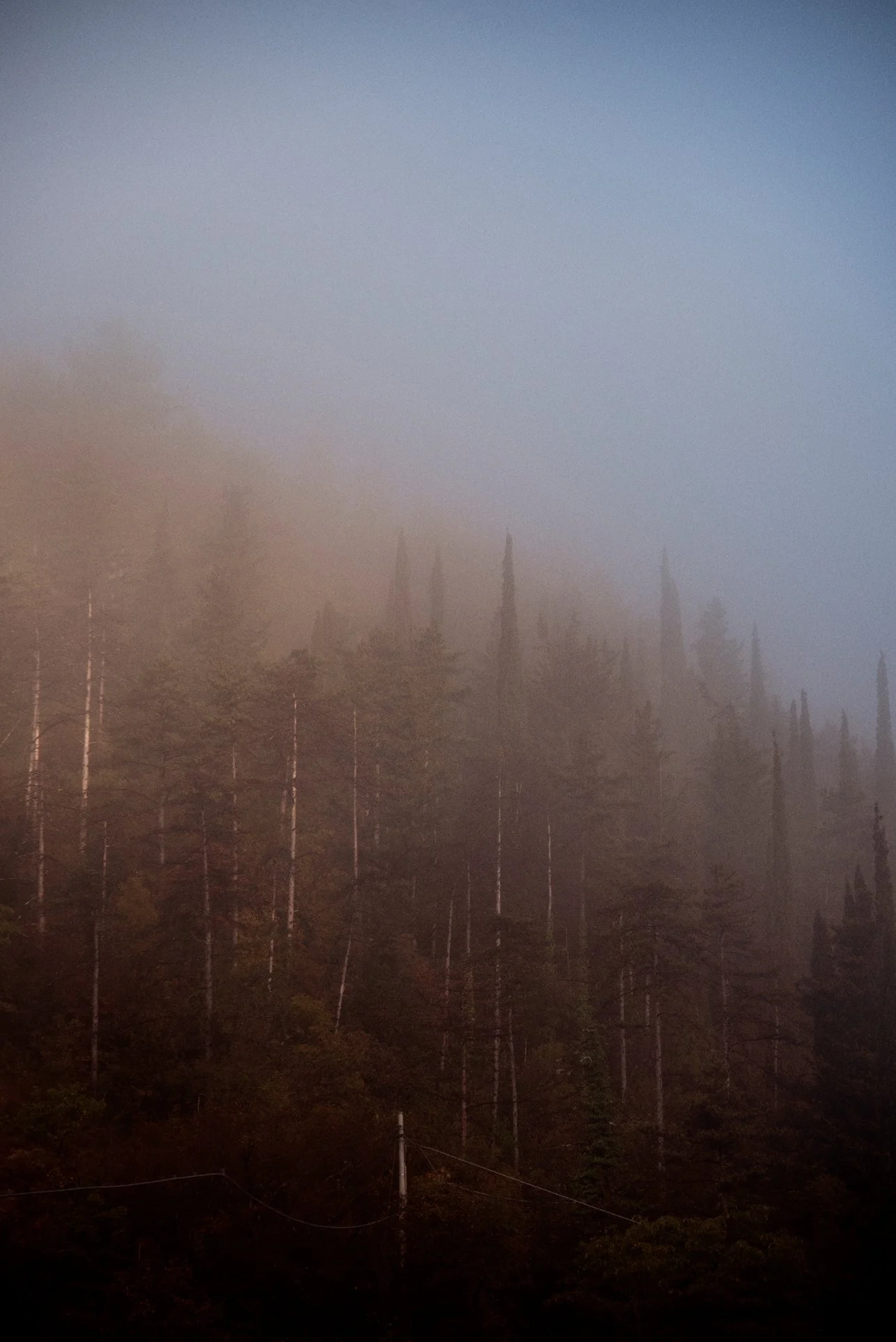 23_DSC_1835 copia.jpg