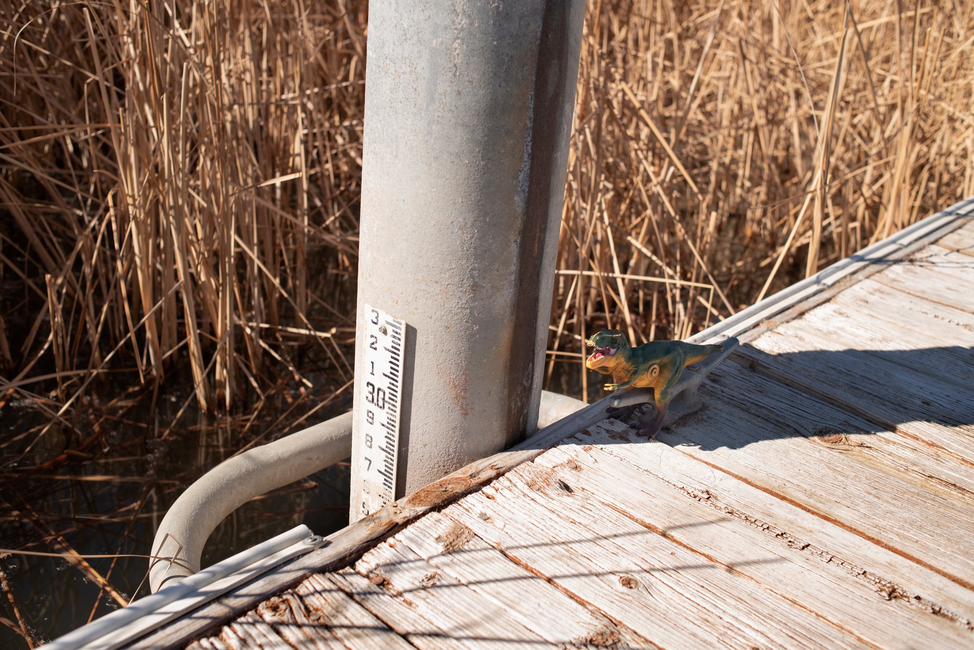 51_DSC_7823 copia.jpg