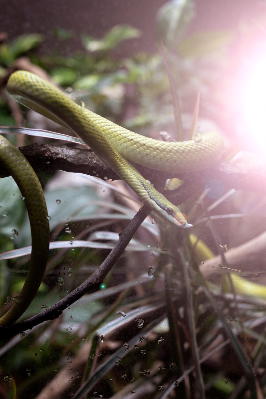 20_DSC_8861 copia 2.jpg