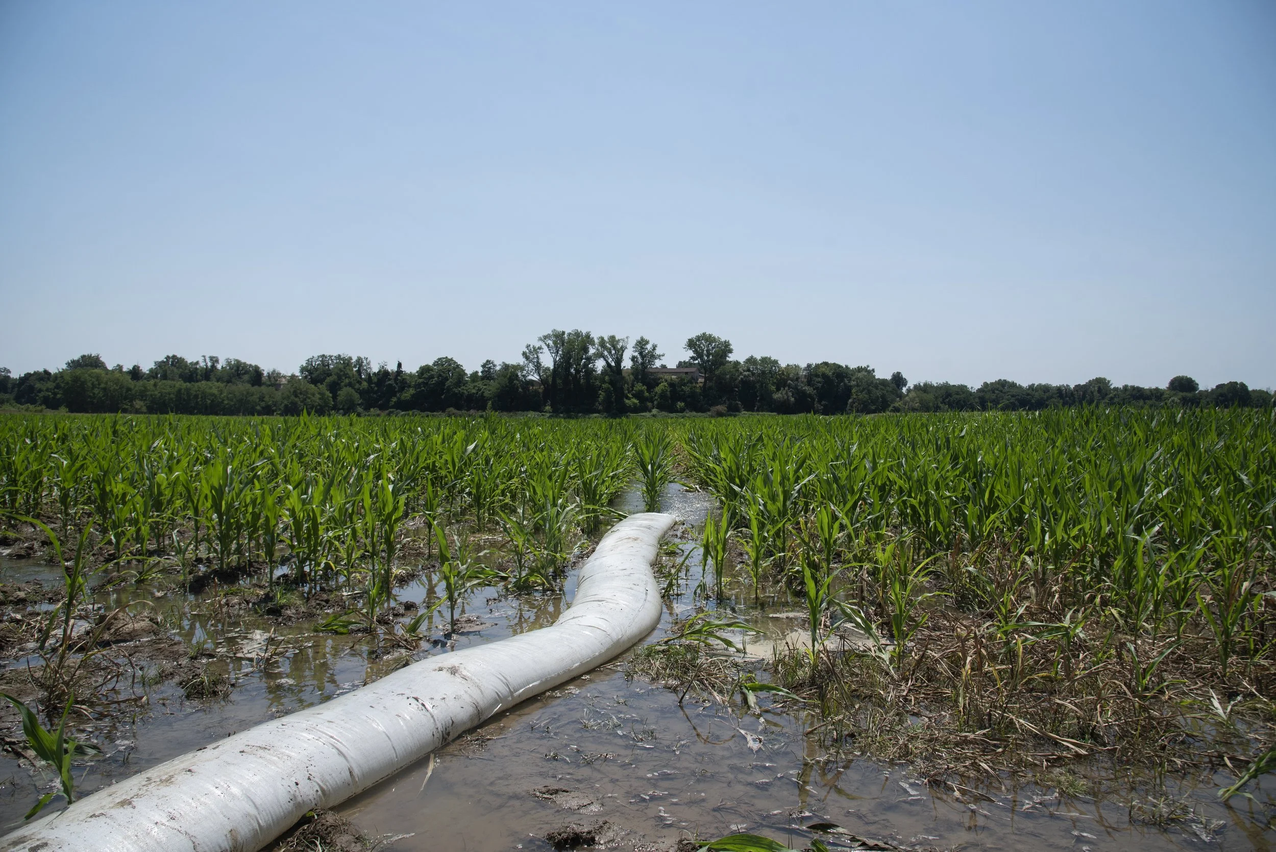 17_DSC_5824 copia.jpg