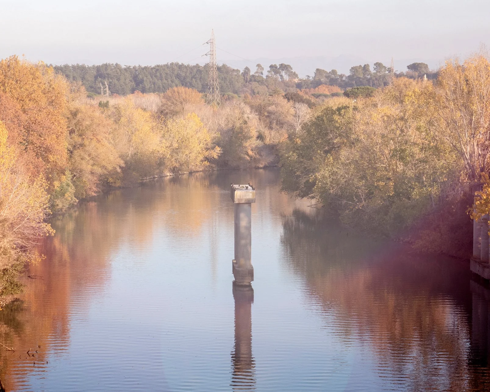 20_DSC_9099 copia 4 copia.jpg